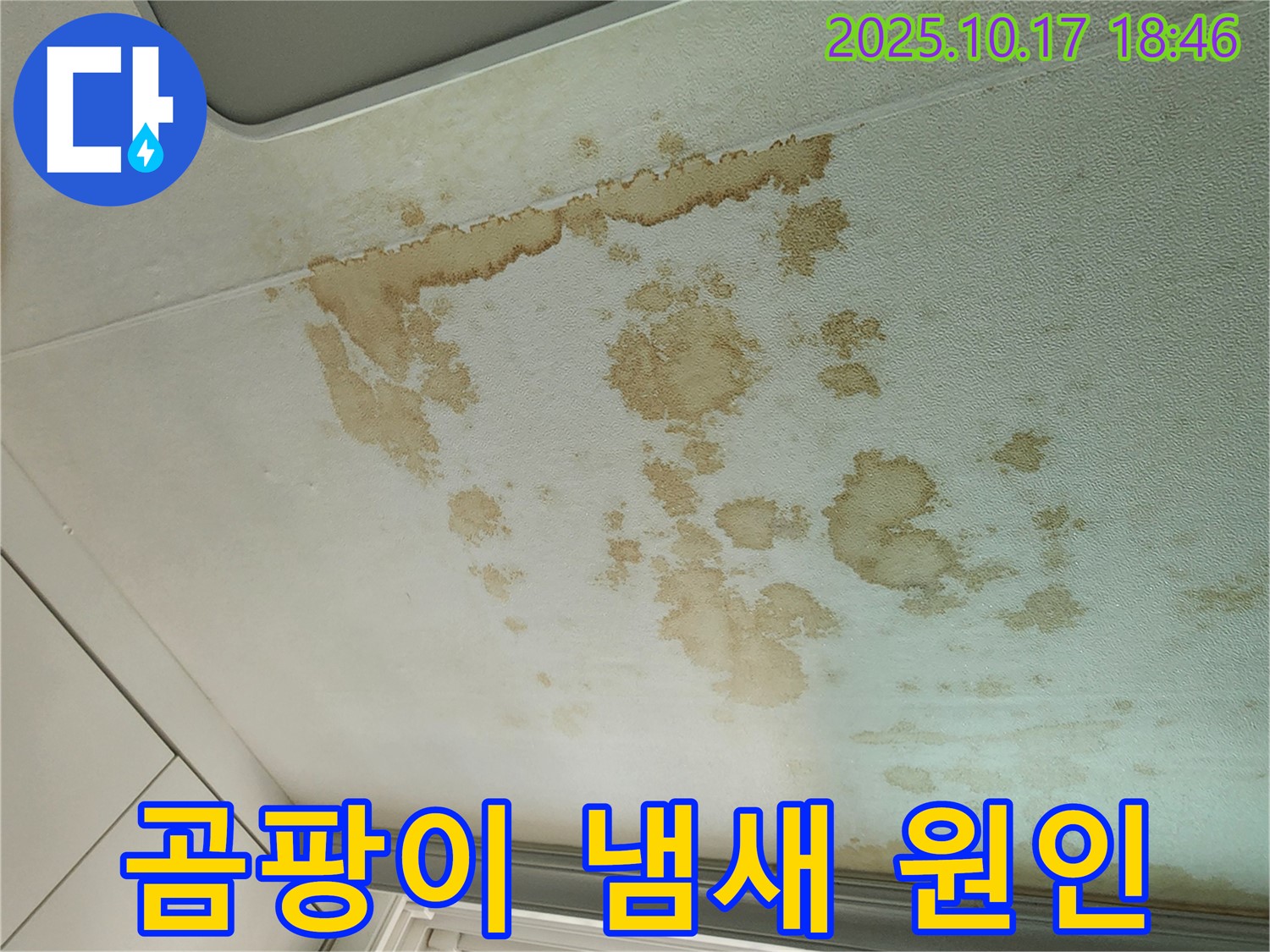 양주시 남면 누수 - 퀴퀴한 곰팡이 냄새 - 누수 해결이 먼저!