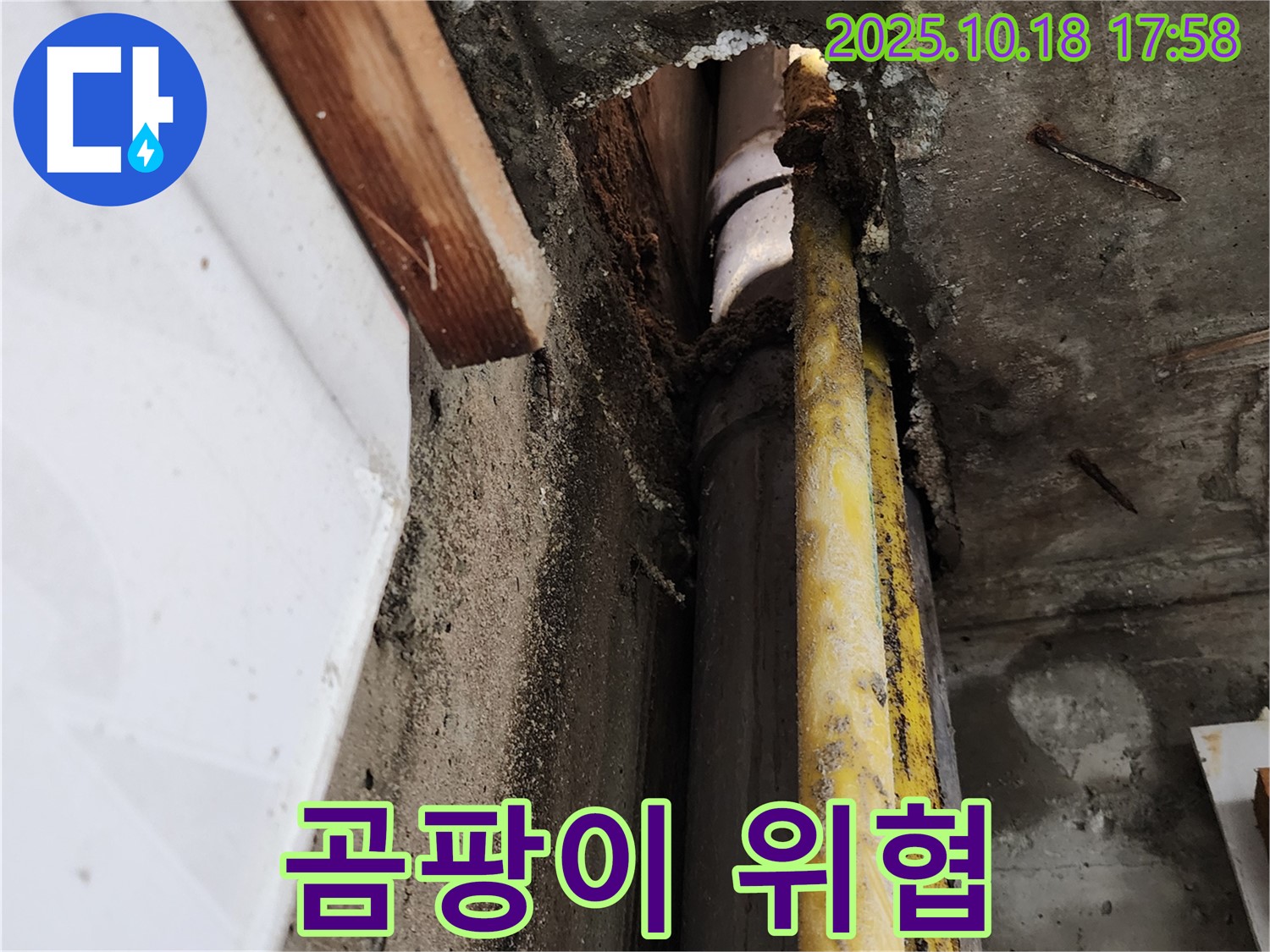 양주시 장흥 누수 - 누수 부위 주변 곰팡이 - 건강까지 위협하는 누수, 신속하게 해결하세요!