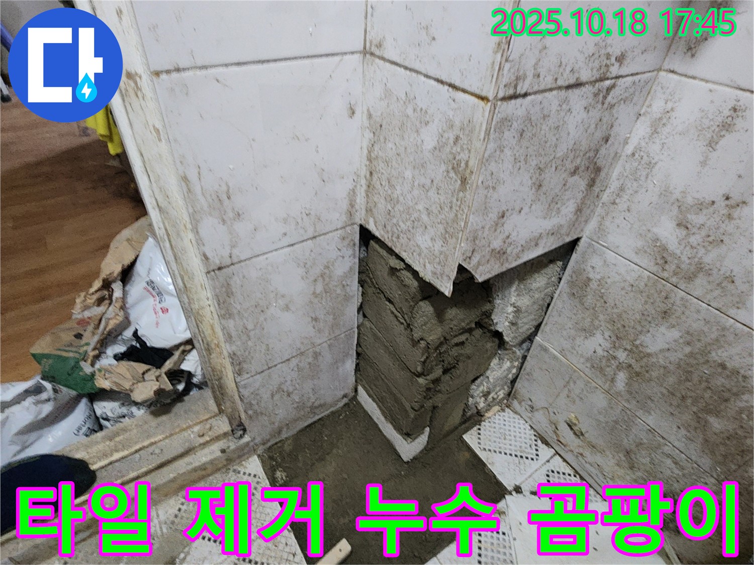 양주시 장흥면 교현리 누수 현장 - 타일 제거 후 심각한 곰팡이와 누수 흔적
