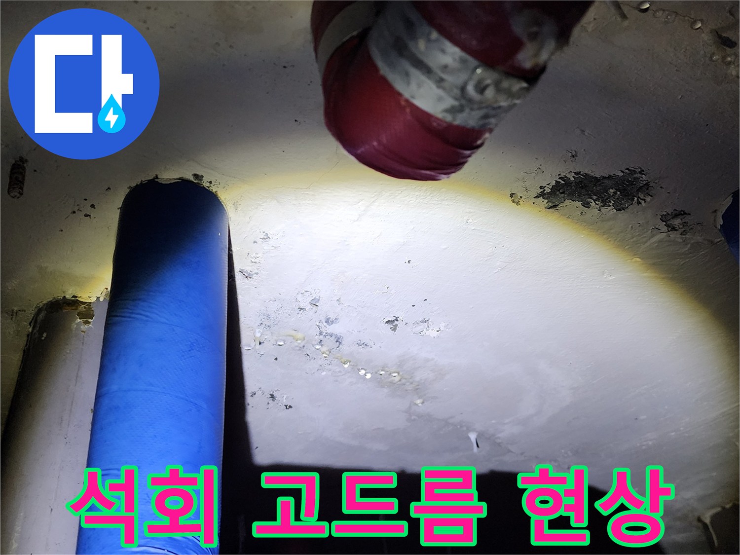 양주시 장흥면-천장 슬래브의 백화 및 물샘 흔적