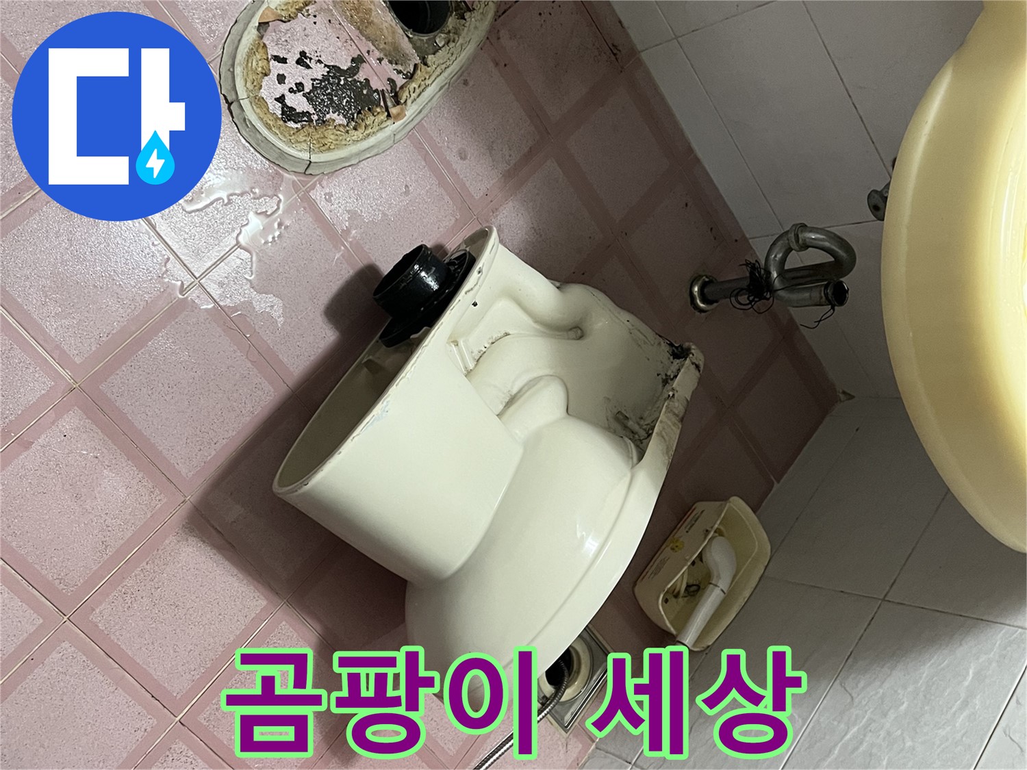 금천구 독산동 - 변기 철거 후 드러난 곰팡이 세상