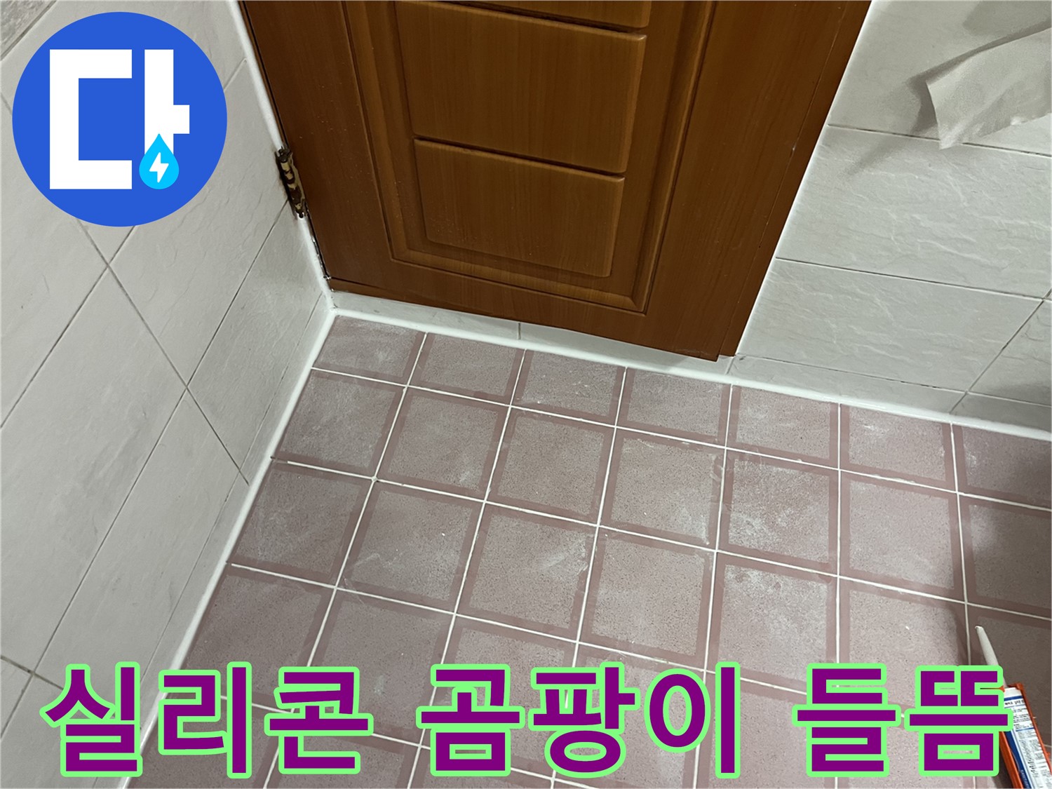 금천구 독산동 형제맨션빌 욕실 - 문 하단 타일 주변 실리콘 곰팡이와 들뜸 정밀 진단