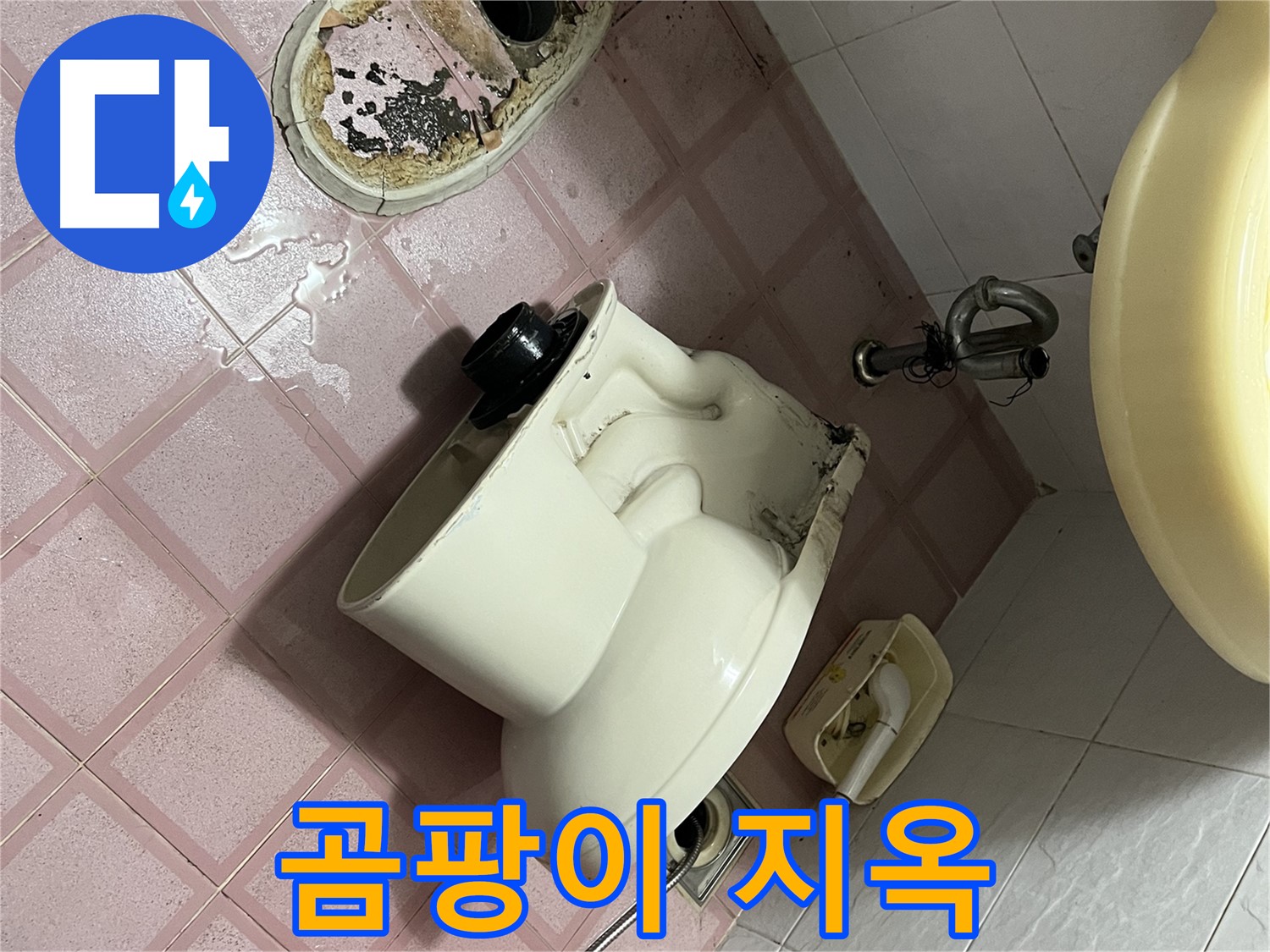 금천구 독산동 형제빌 - 변기 철거 후 드러난 곰팡이 지옥