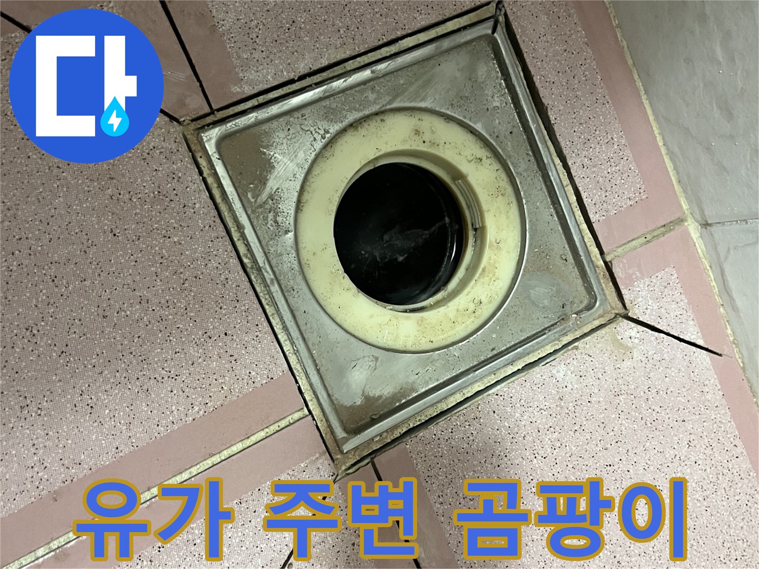 금천구-독산동 형제빌 욕실 유가 주변 곰팡이 - 누수 가능성