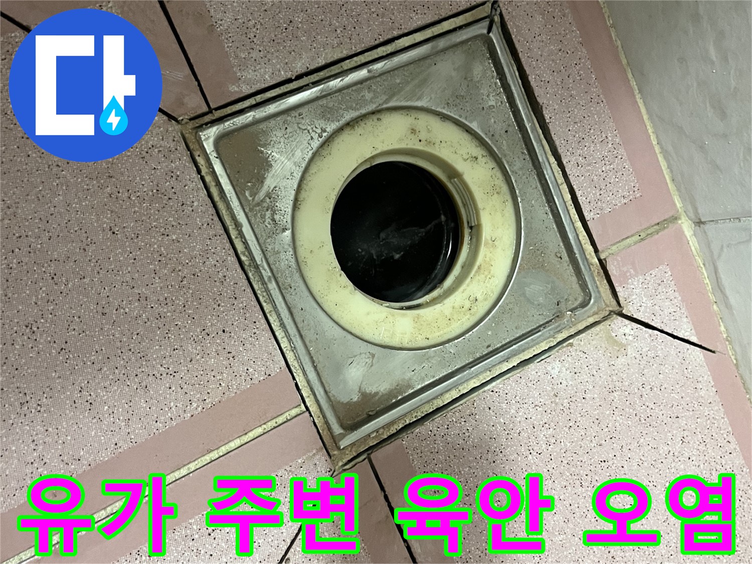 금천구 독산동 형제빌 유가 주변 육안 및 오염 점검 - 종합 누수 진단