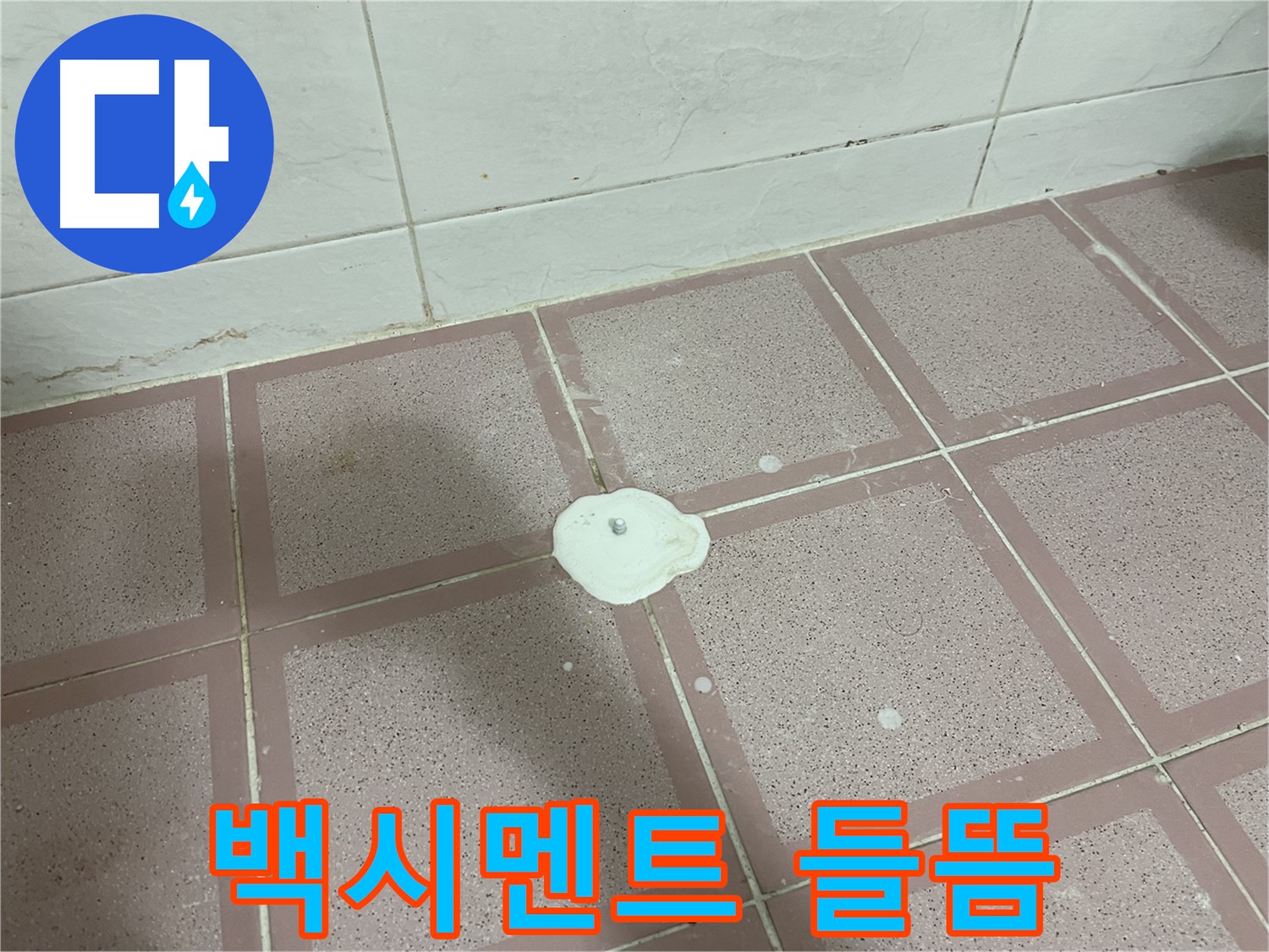 독산동 형제맨션빌 누수 - 백시멘트 들뜸
