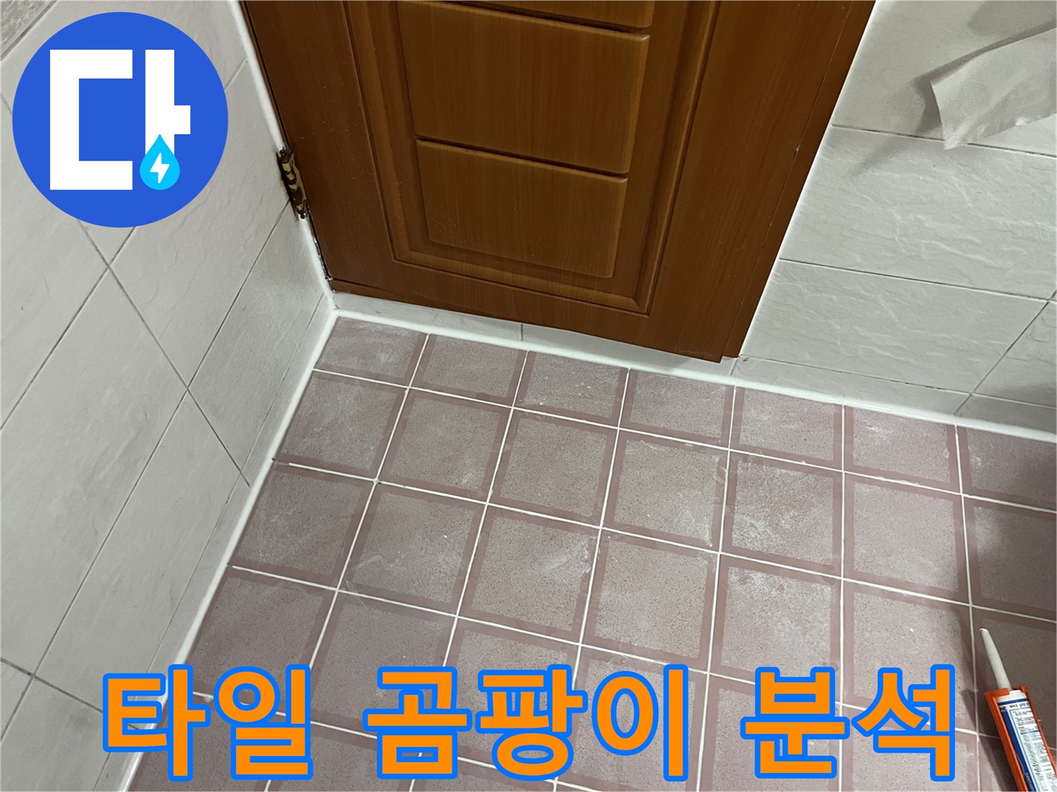 독산동 형제맨션빌 욕실 - 문 주변 타일 곰팡이와 습기 문제 원인 분석