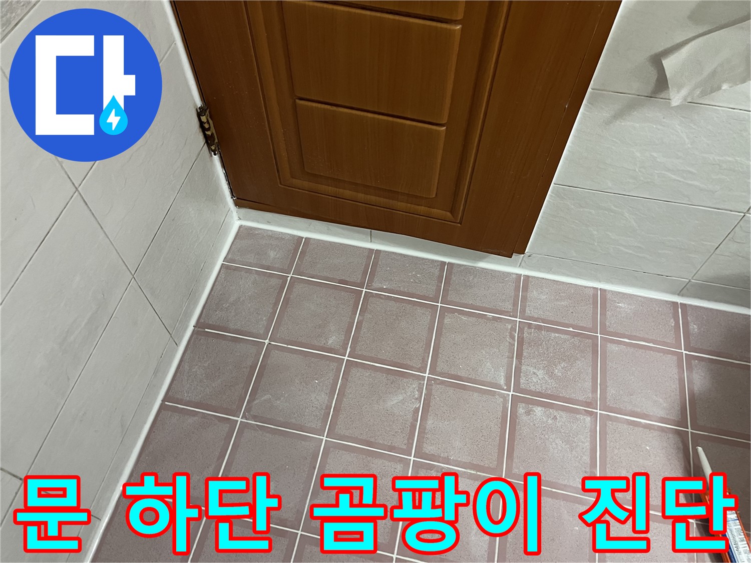 독산동 형제맨션빌 욕실 - 문 하단 타일 곰팡이와 습기 문제 해결을 위한 초기 진단