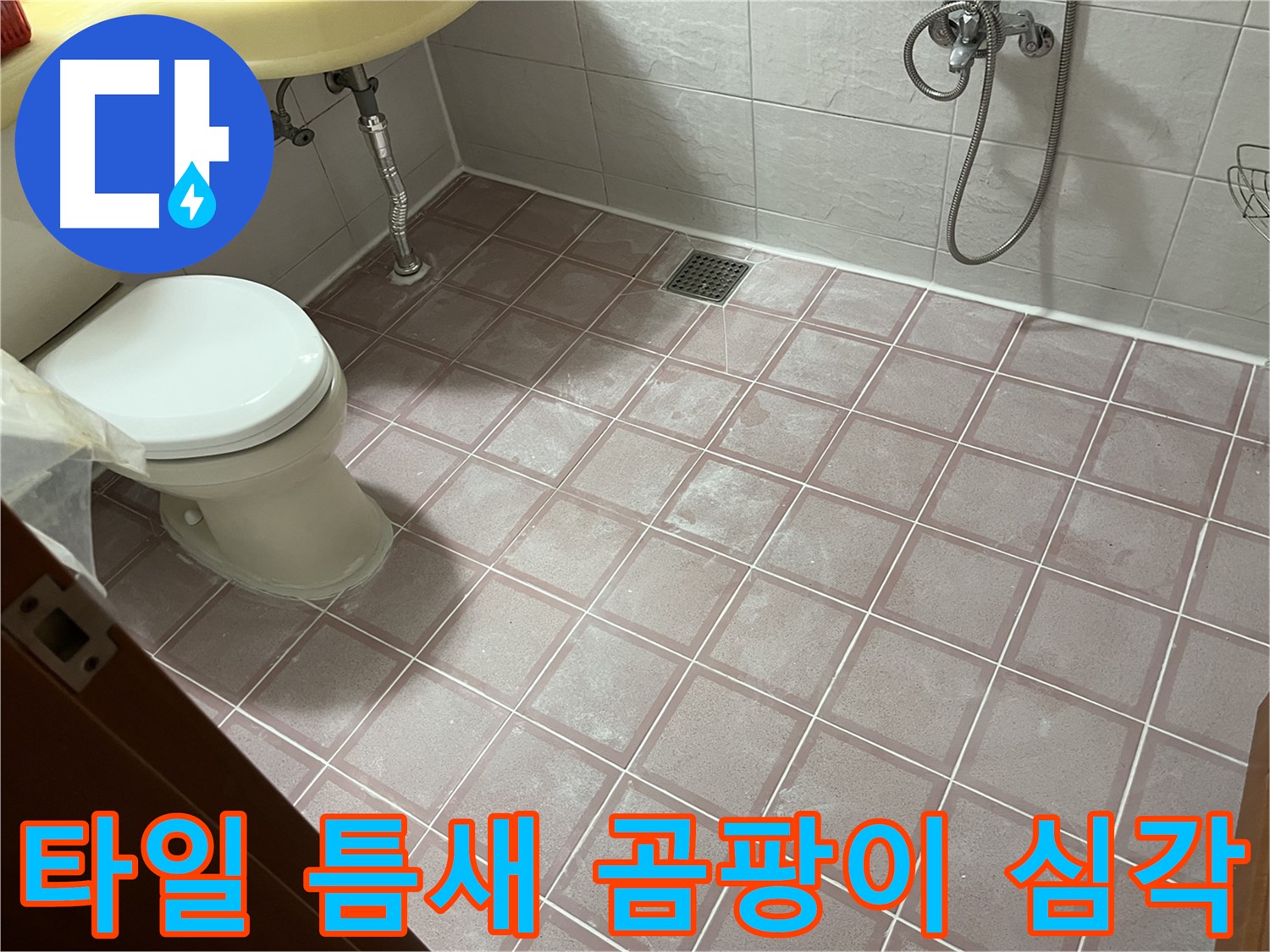 독산동 형제빌 - 타일 틈새 곰팡이 심각, 곰팡이 제거 - 줄눈