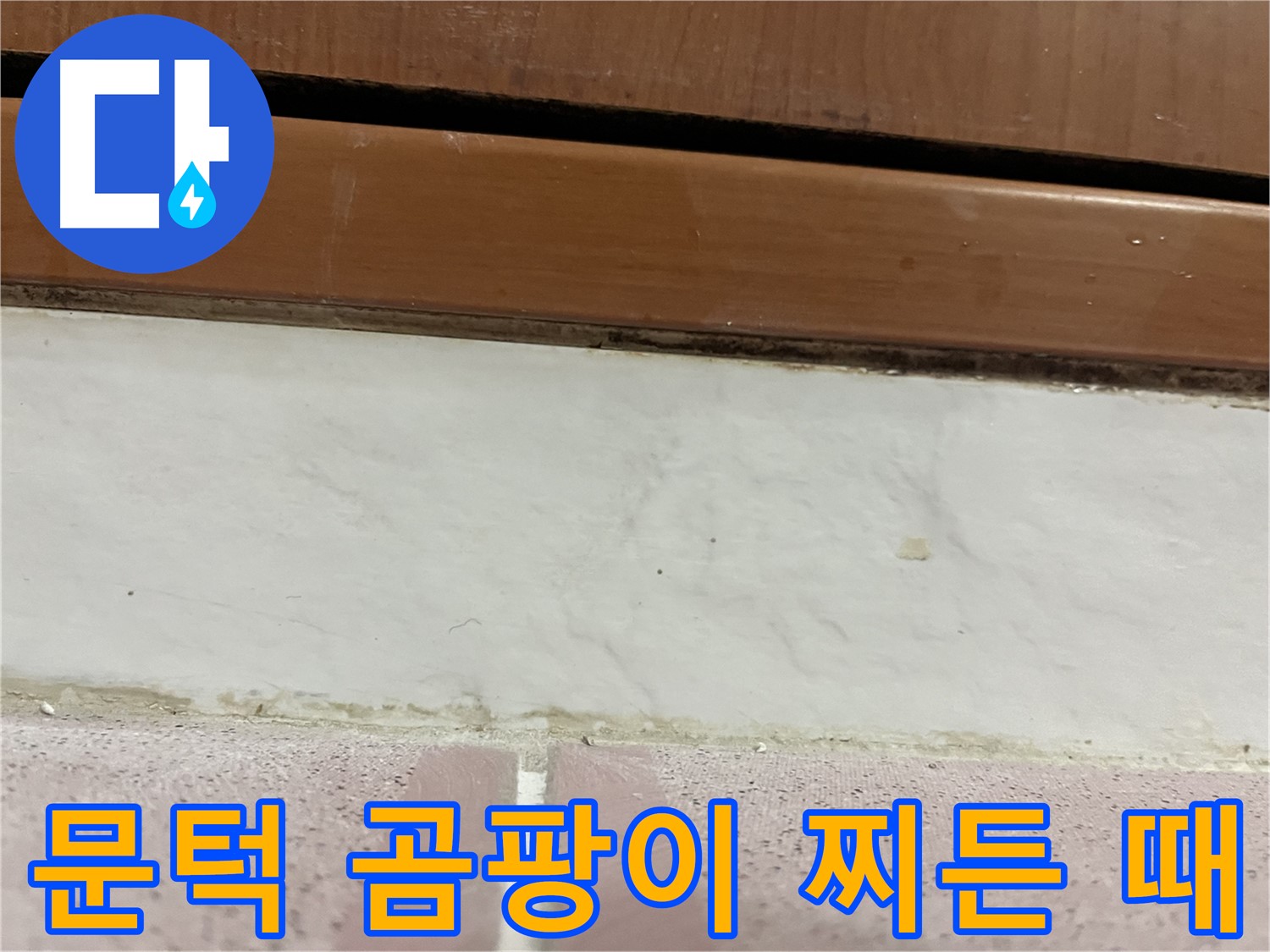 형제맨션빌 누수 - 문턱 아래 타일 틈새 곰팡이와 찌든 때