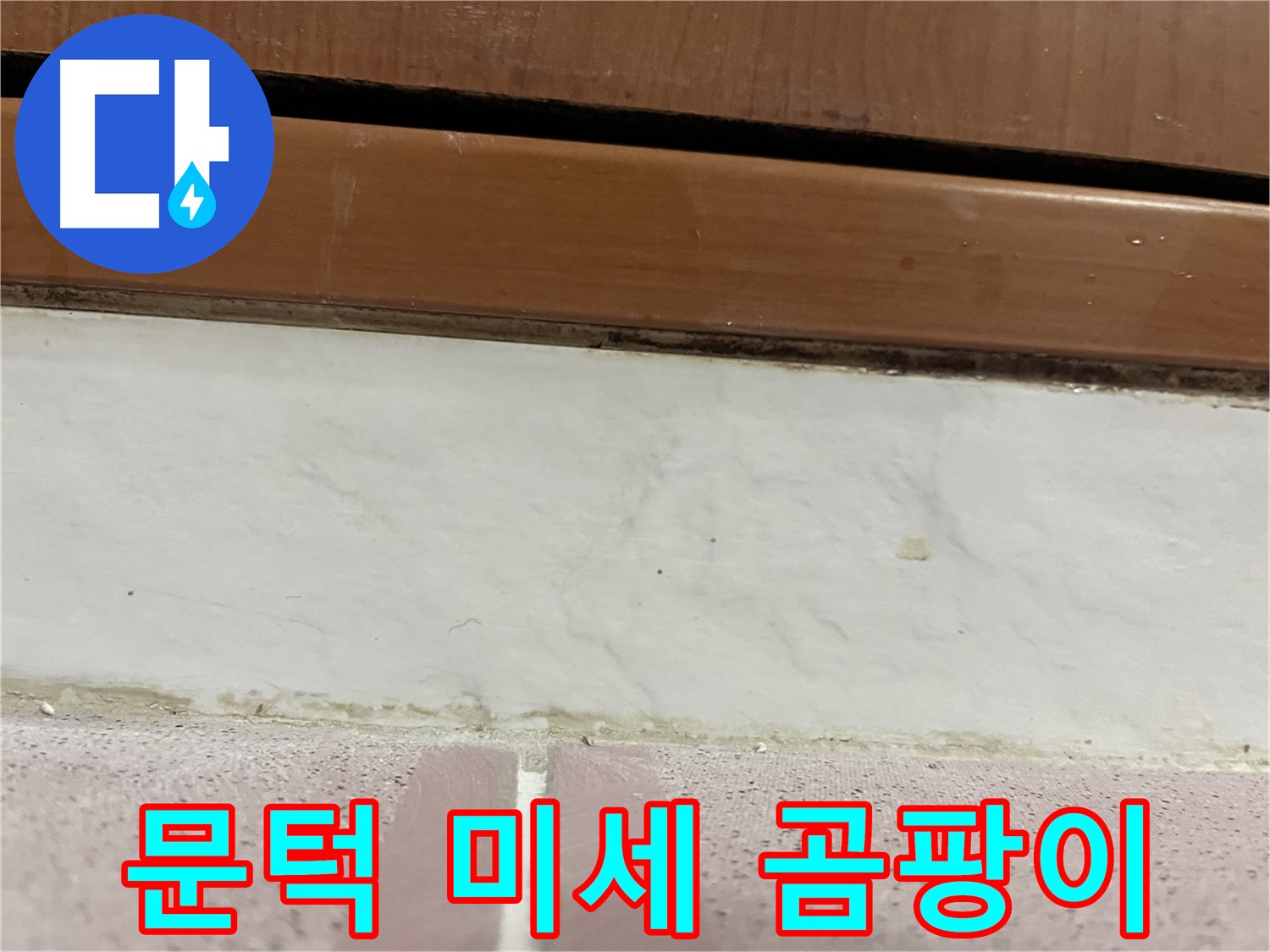 형제맨션빌 누수 - 문턱 아래 타일 틈새 미세 곰팡이 발견