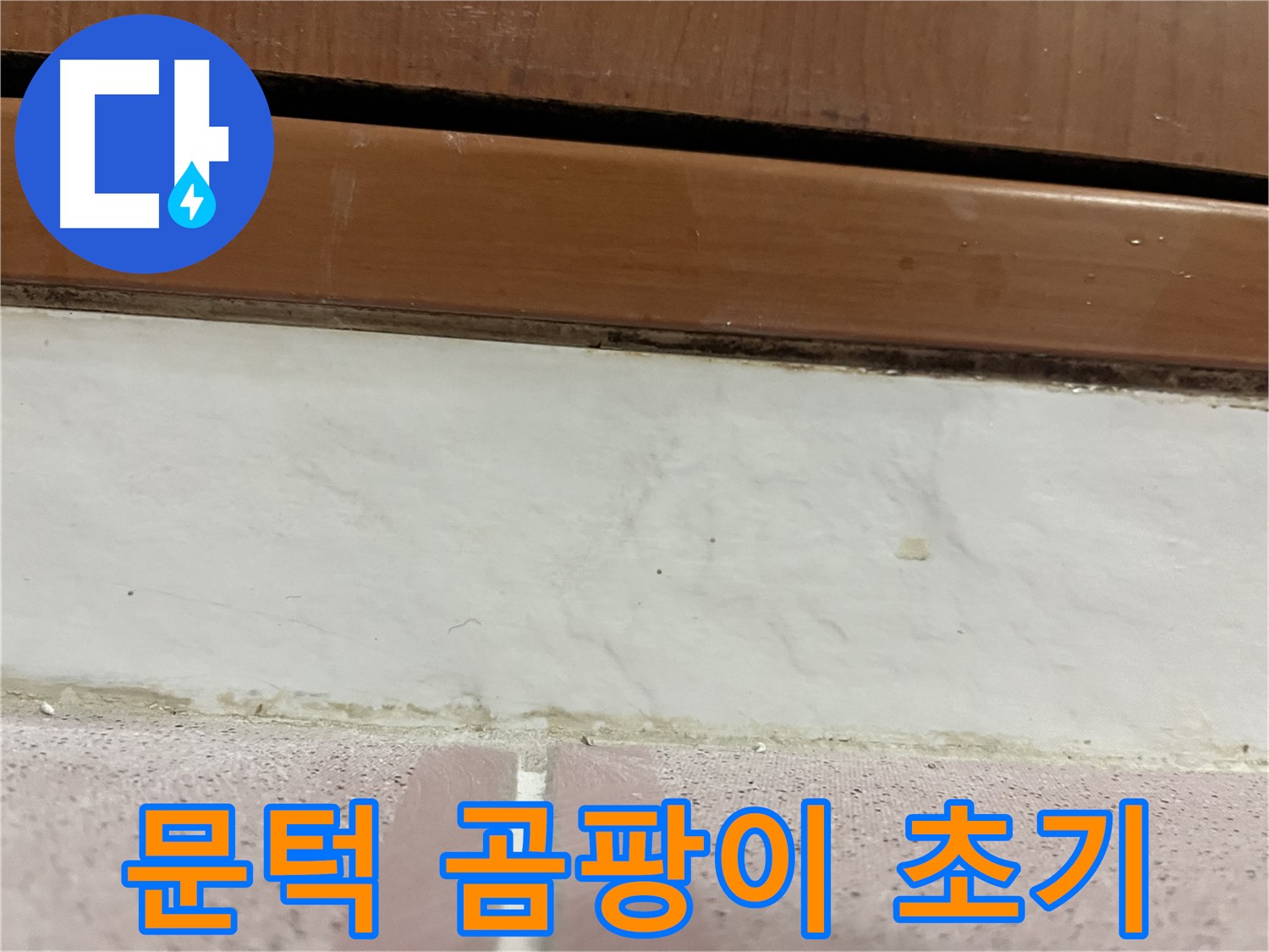 형제맨션빌 누수 - 문턱 주변 타일 틈새 곰팡이 초기 발생
