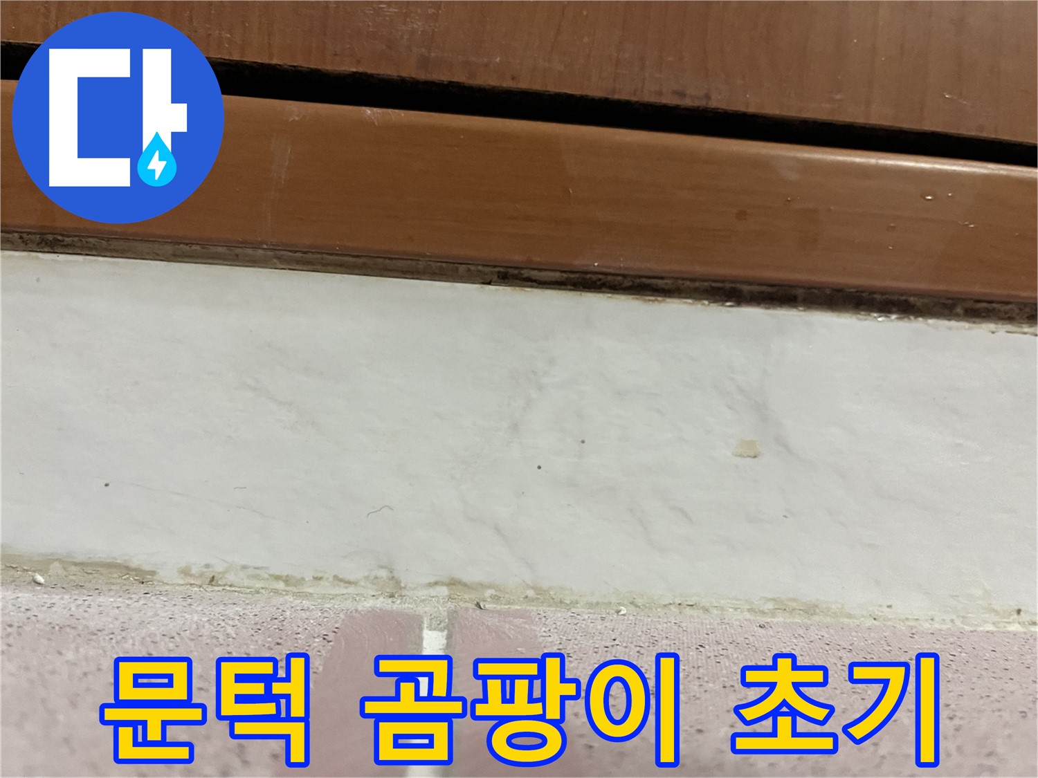 형제맨션빌 누수 - 문턱 주변 타일 틈새 곰팡이 초기 발생
