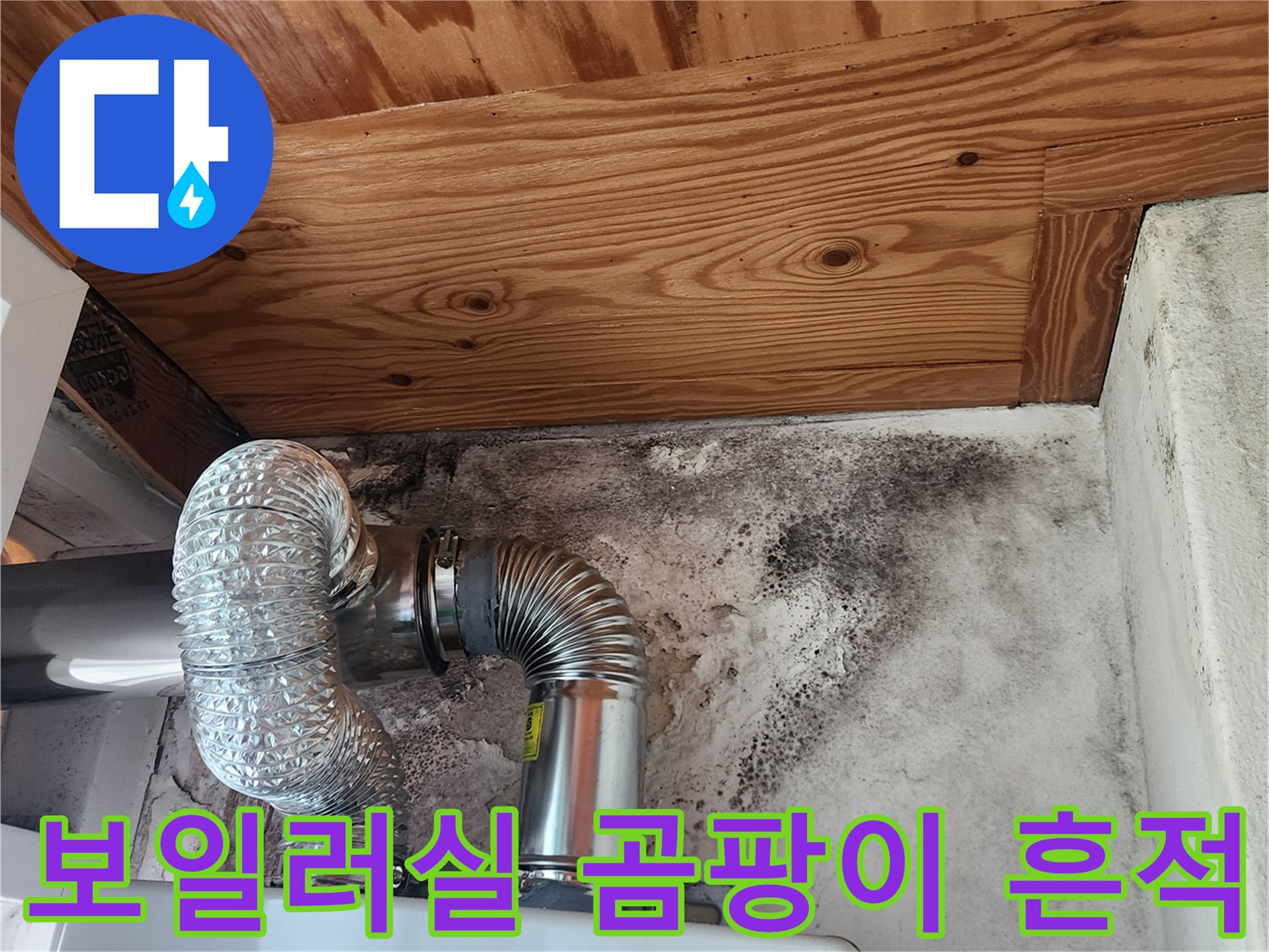 보일러 연통 주변의 검은 곰팡이와 젖은 벽면 상태