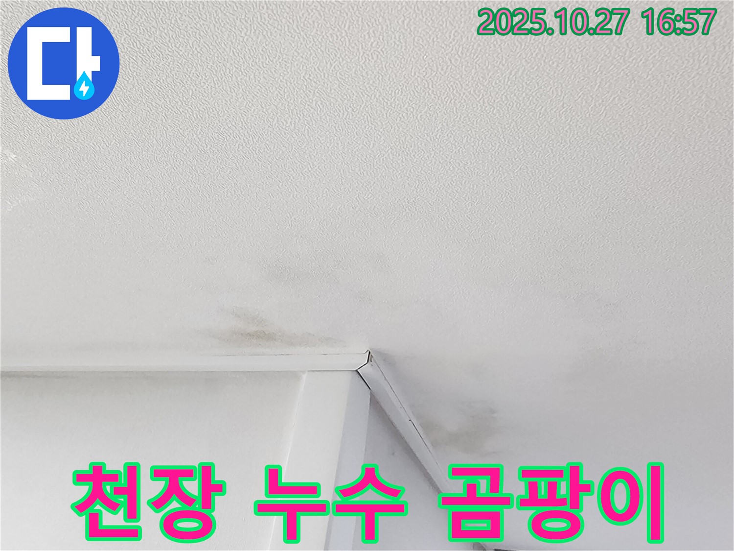 동작구 만양로 천장 누수 - 곰팡이 발생 원인 진단 및 누수 해결 전문 업체