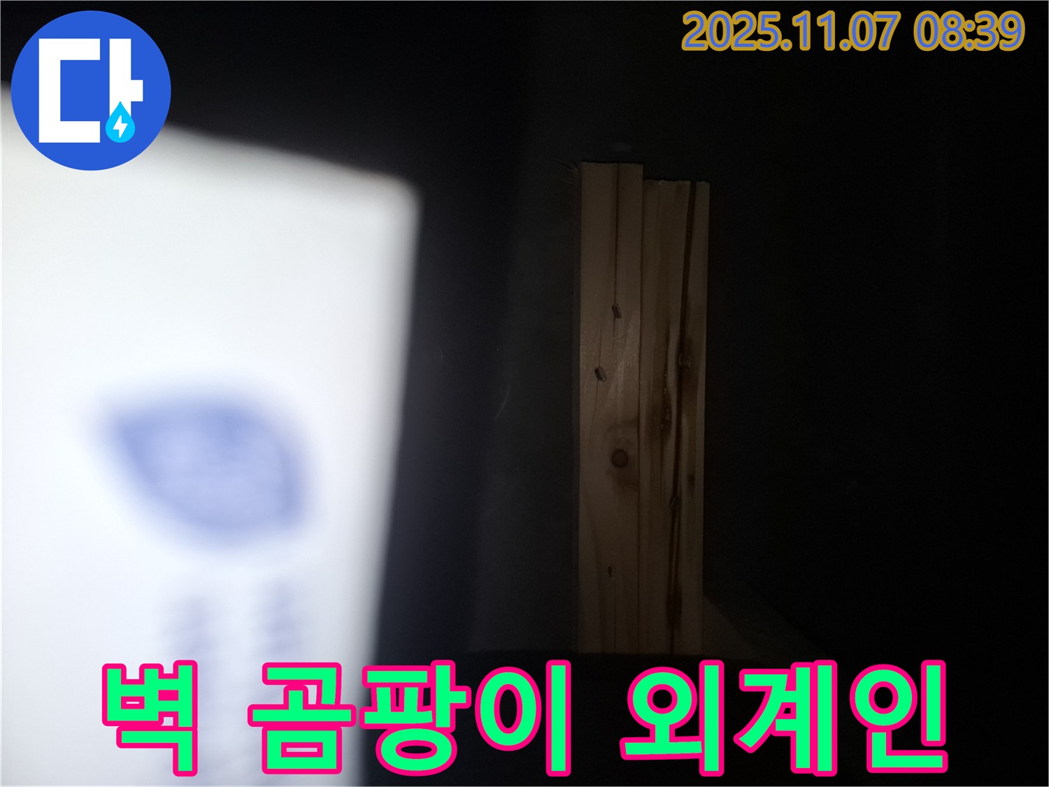 수원 팔달구 신풍동 누수 - 나무 벽에 곰팡이 외계인이 나타났다면 건물 전체에 곰팡이 침공이 시작된 것일지도 모릅니다!