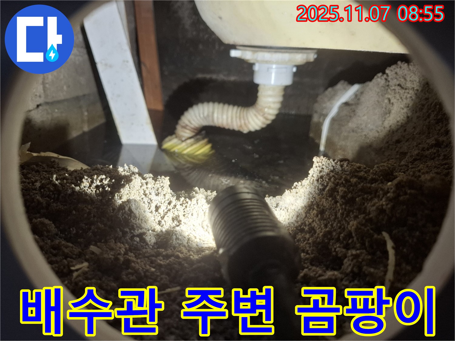 수원 팔달구 신풍동 세면대 배수관 주변 곰팡이 - 악취의 원인! 곰팡이 제거와 누수 해결을 동시에!