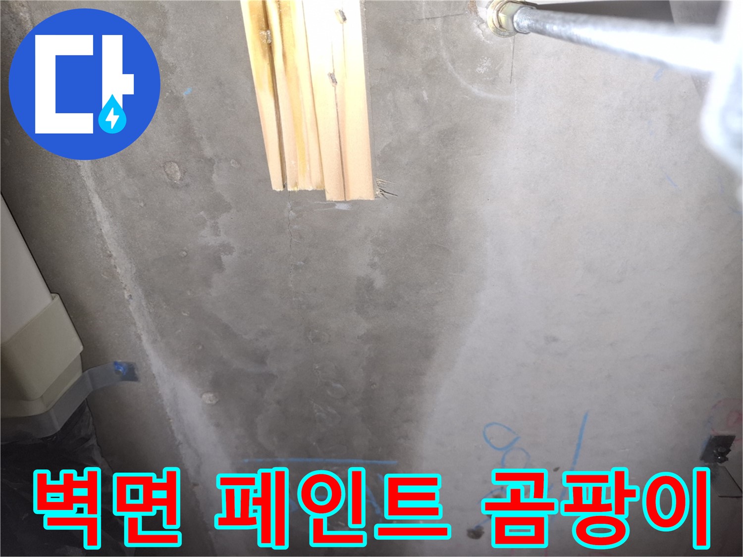 콘크리트 벽 누수 - 페인트 벗겨짐과 곰팡이