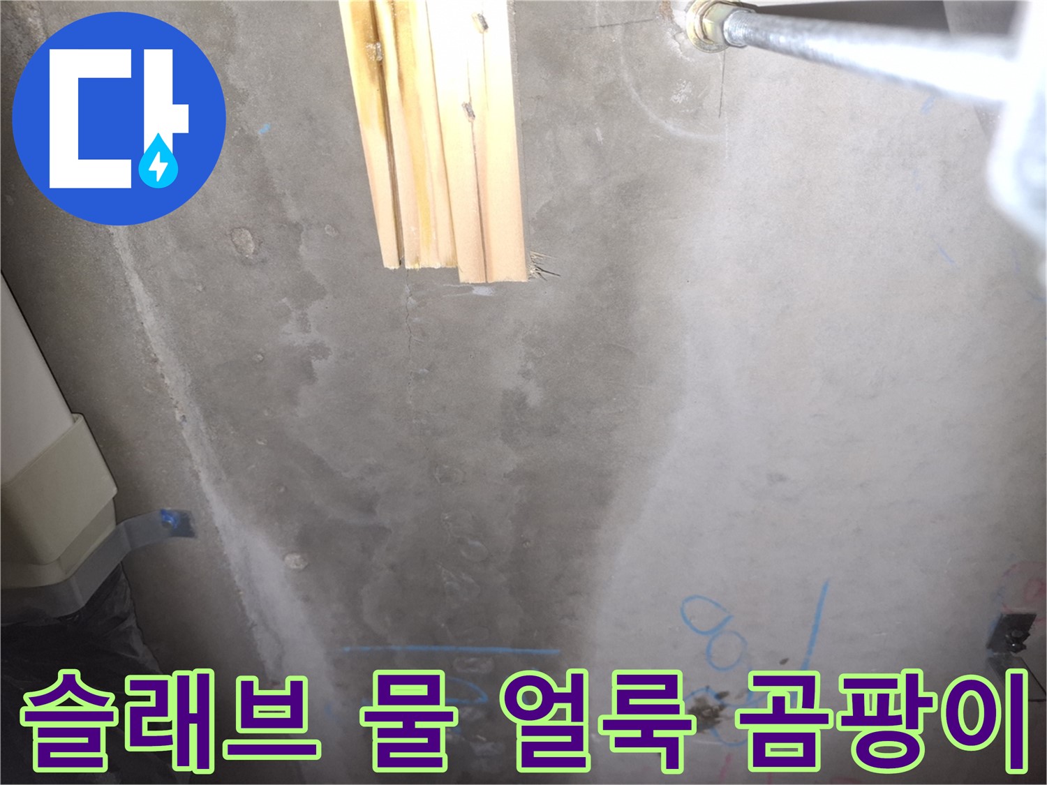 콘크리트 슬래브 누수 - 물 얼룩과 곰팡이