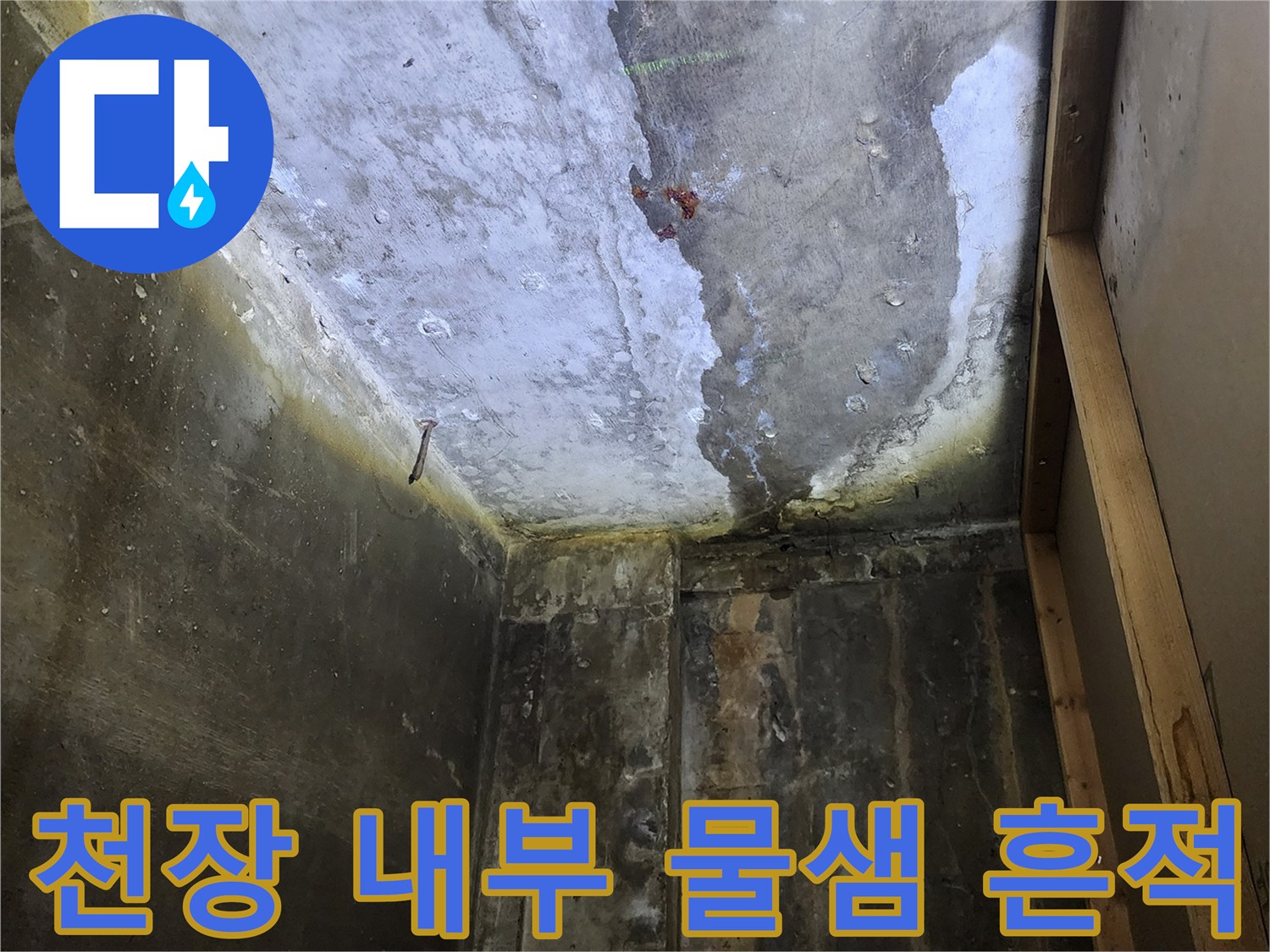 상가 천장 누수 현장 - 젖은 콘크리트 면과 습기가 가득한 상단 구조물