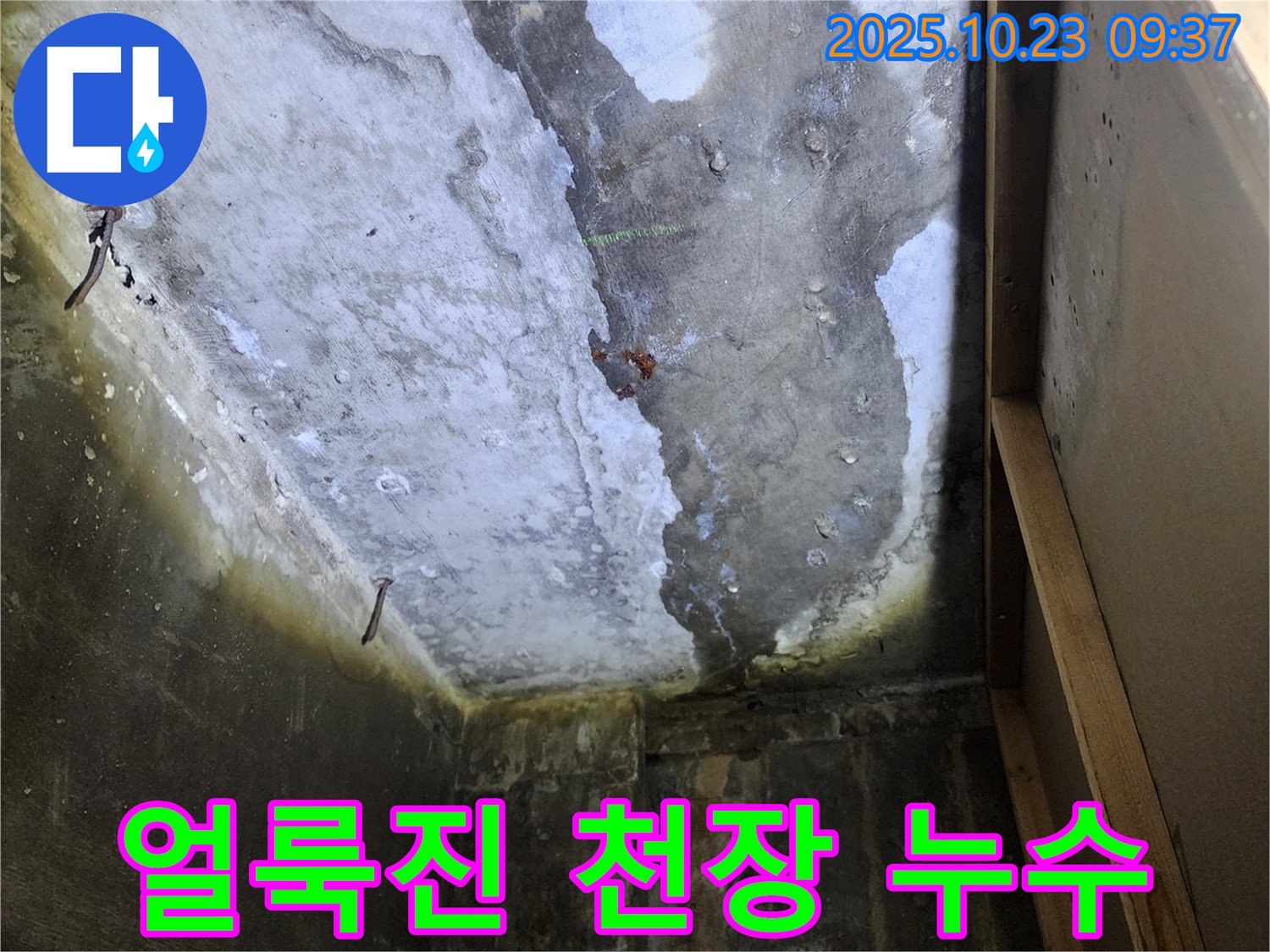양주시 은현면 도하리 - 물 얼룩진 천장, 누수 의심! 더 이상 미루지 말고 점검하세요.