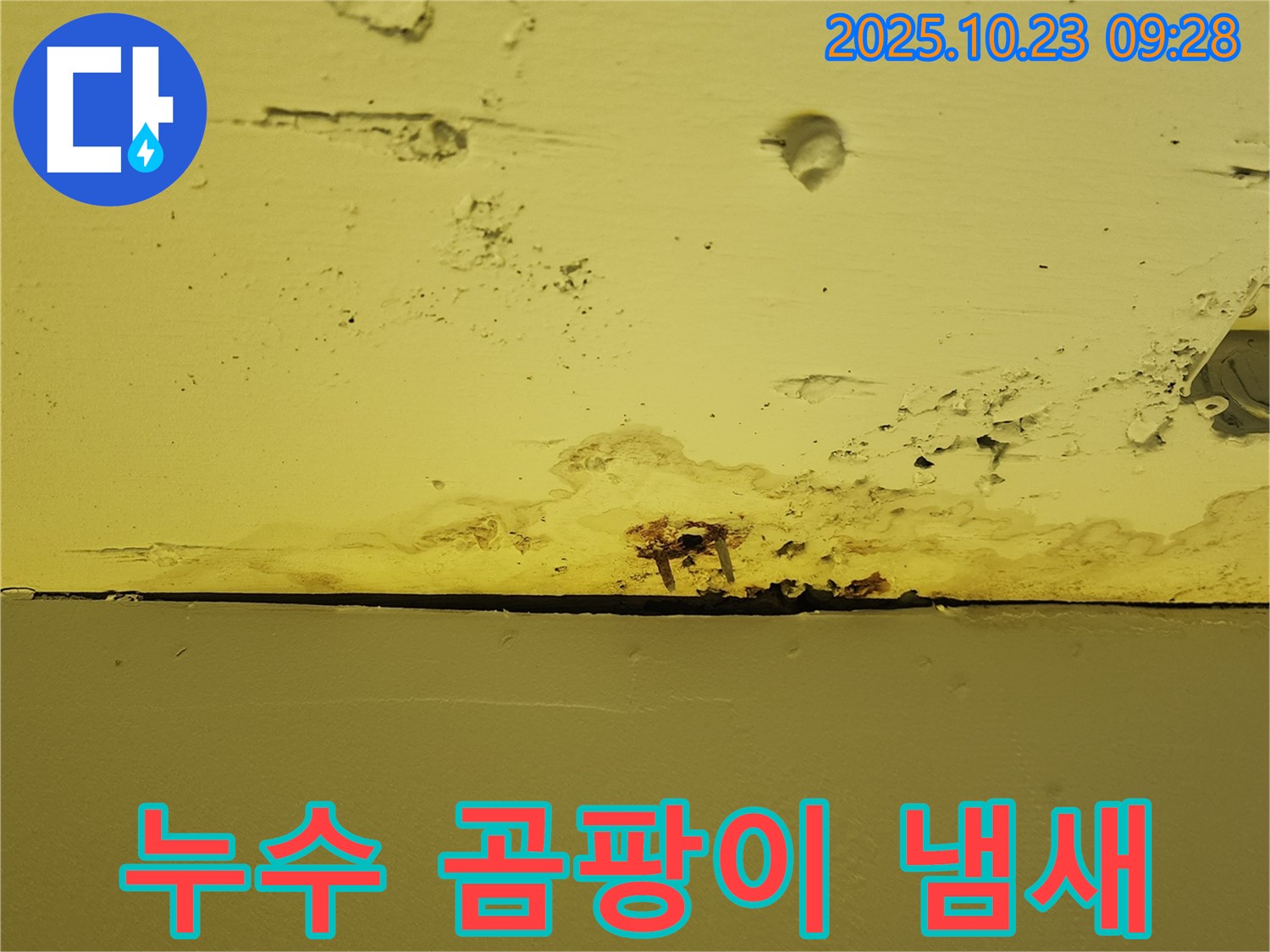천장 못 주변 누수 - 곰팡이 냄새가 나는 경우, 곰팡이 제거가 필수입니다.