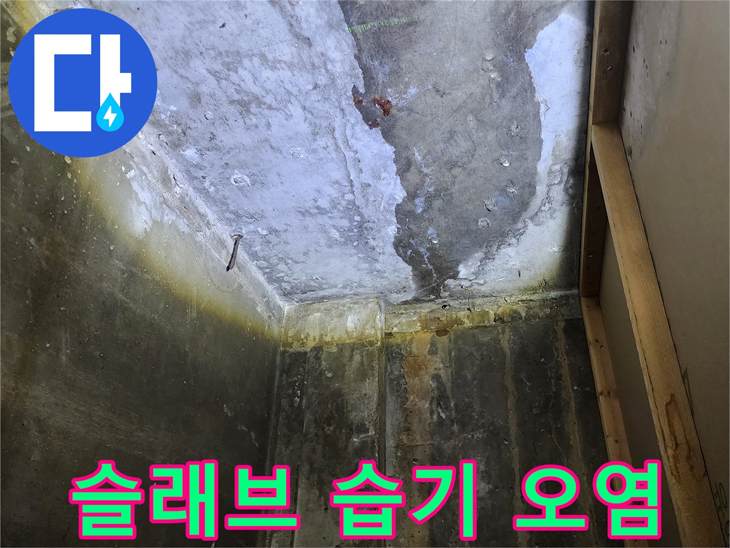 상가-천장-콘크리트-슬래브-누수-흔적-및-오염