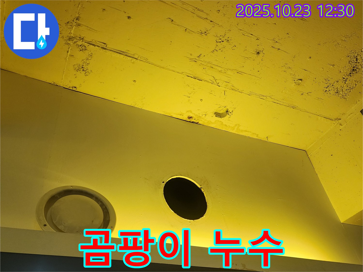 양주 하패리 천장 누수 - 곰팡이 발생 방지 시공으로 쾌적한 환경 조성