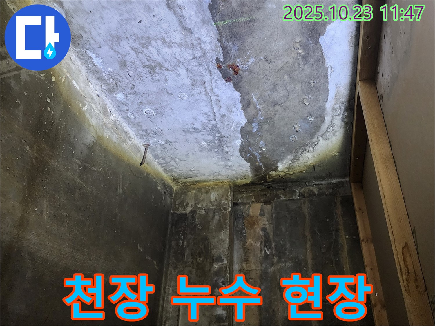 양주시 은현면 천장 누수 현장 - 누수 원인 파악 및 해결 과정