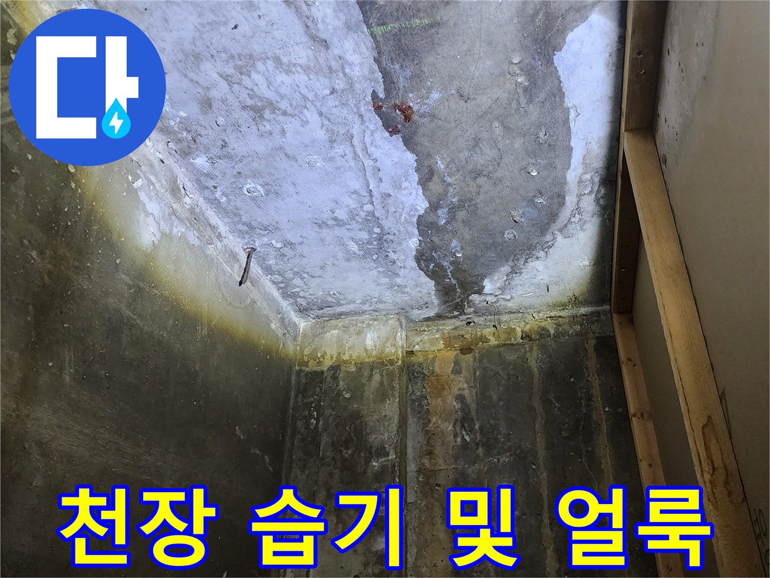 하패리 현장 천장-누수로 인한 콘크리트 슬래브의 변색 상태