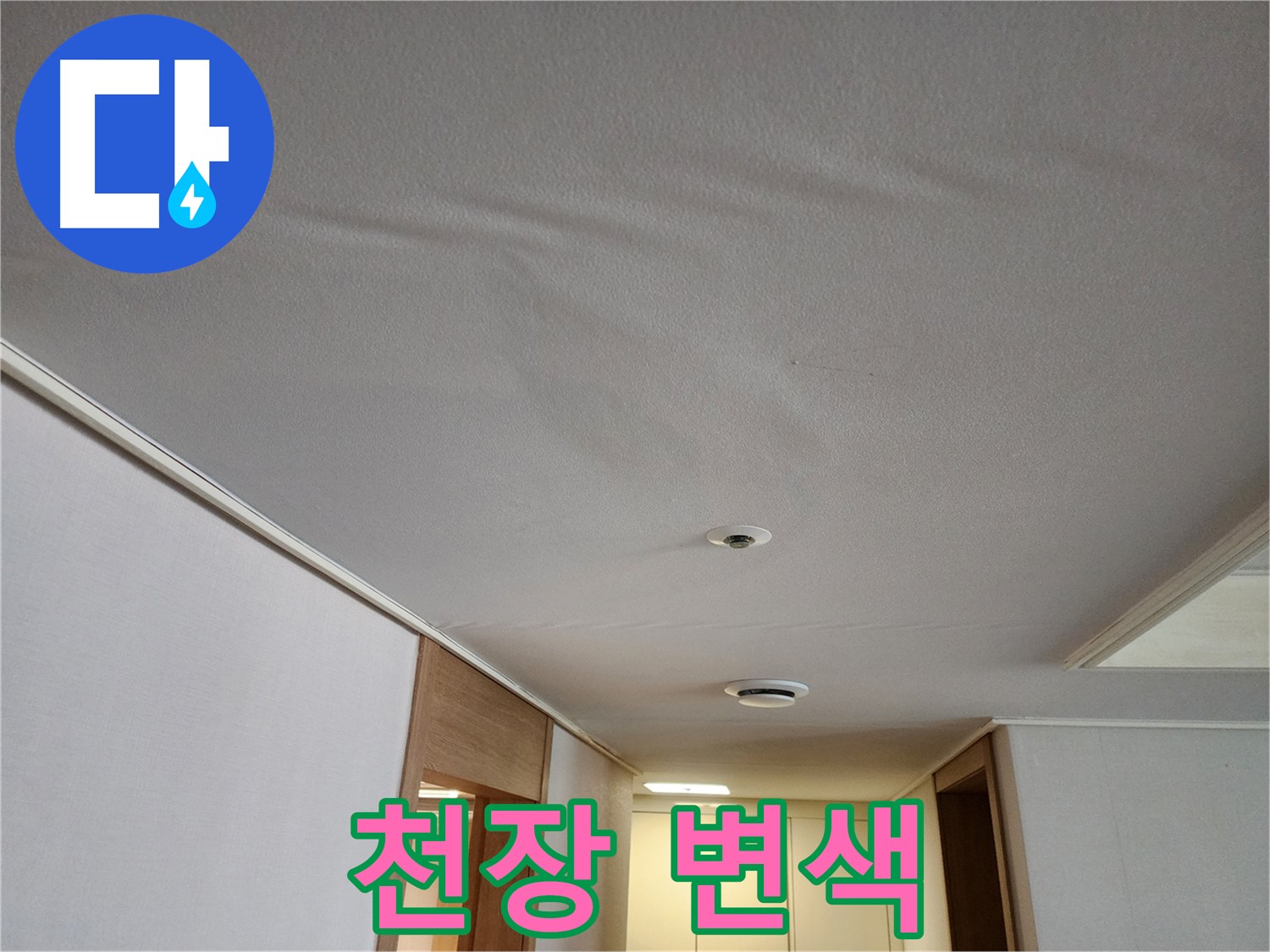 사우동 누수 - 아파트 천장 변색, 누수 원인 조사