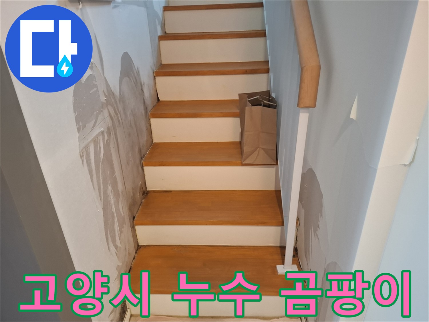 계단 벽 곰팡이 - 건강 위협, 곰팡이 퇴치