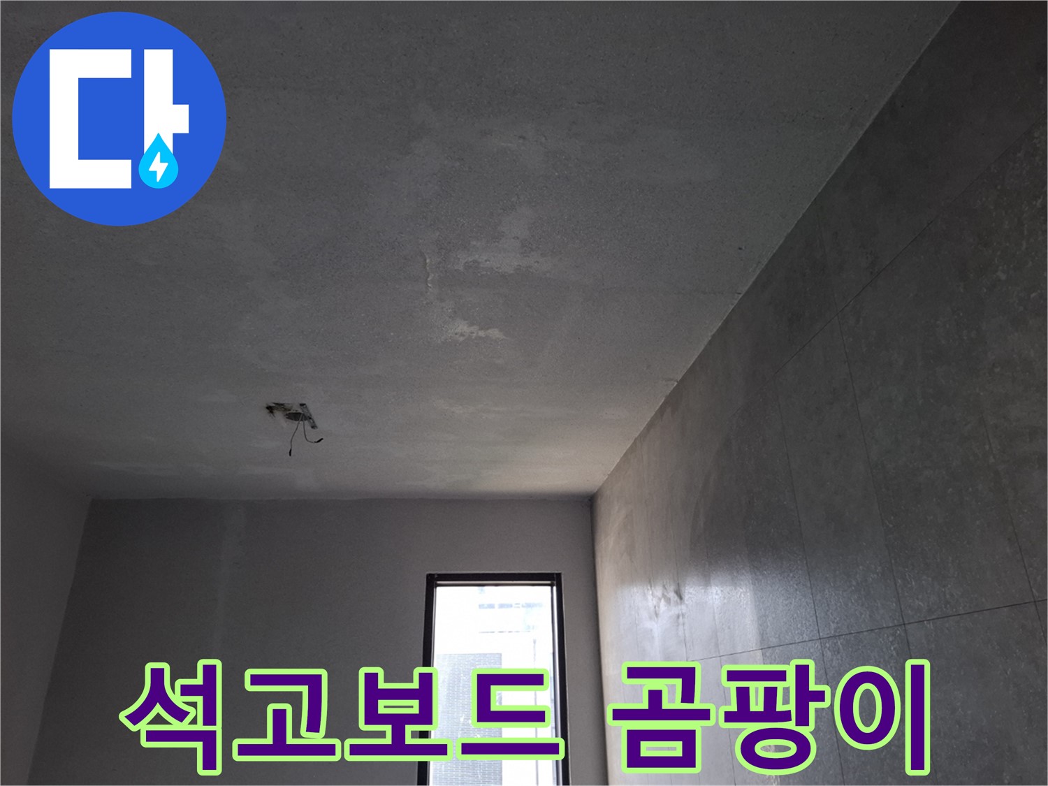 고양시 덕양구 지축동 석고보드 곰팡이 - 건강을 위협하는 곰팡이를 제거합니다.