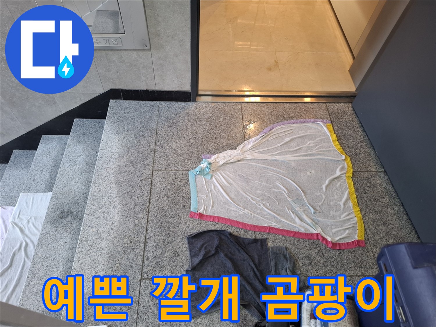 예쁜 깔개와 챠콜색 셔츠 - 곰팡이 양식장?