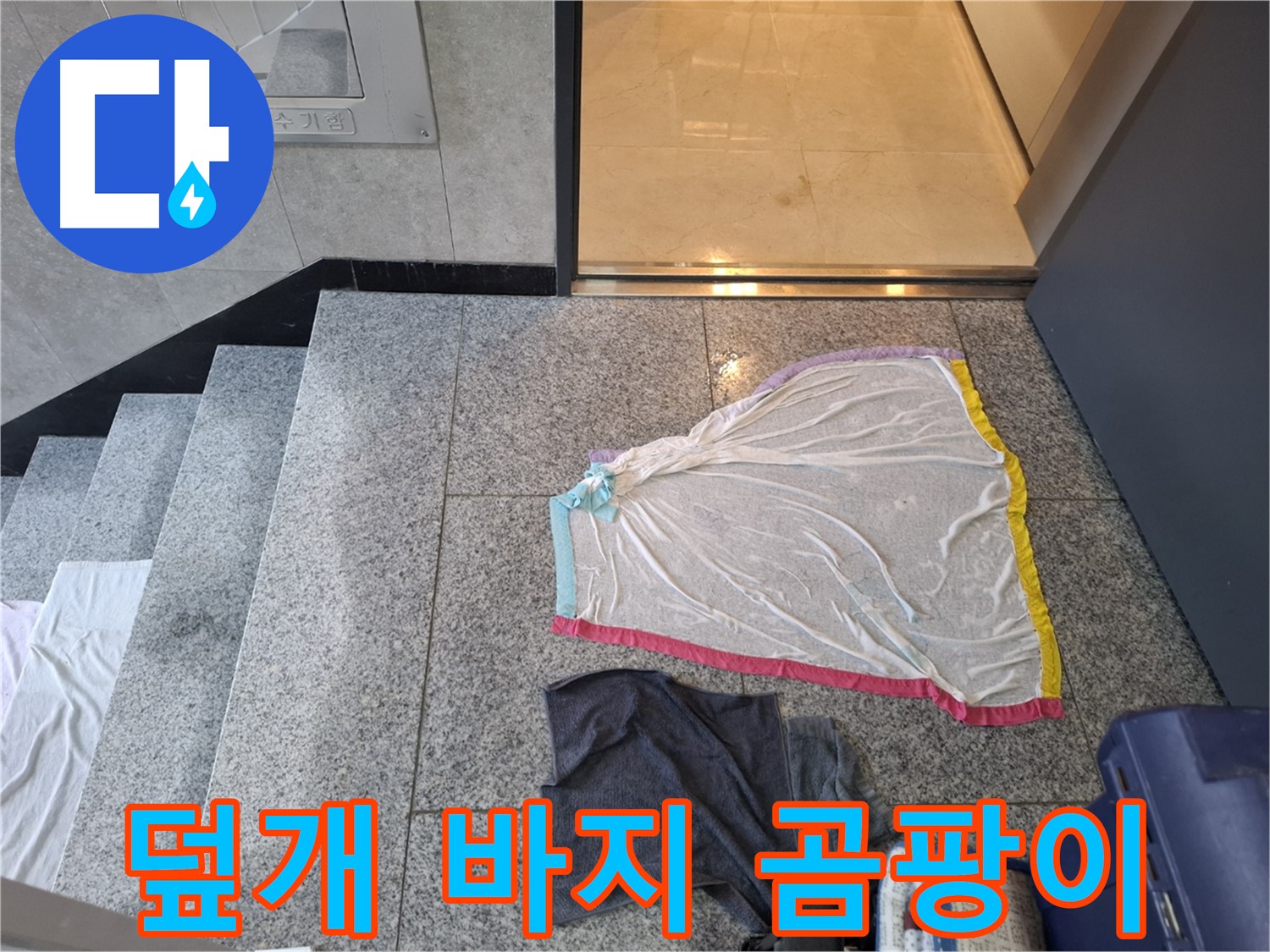 예쁜 덮개와 바지 - 곰팡이 초대장