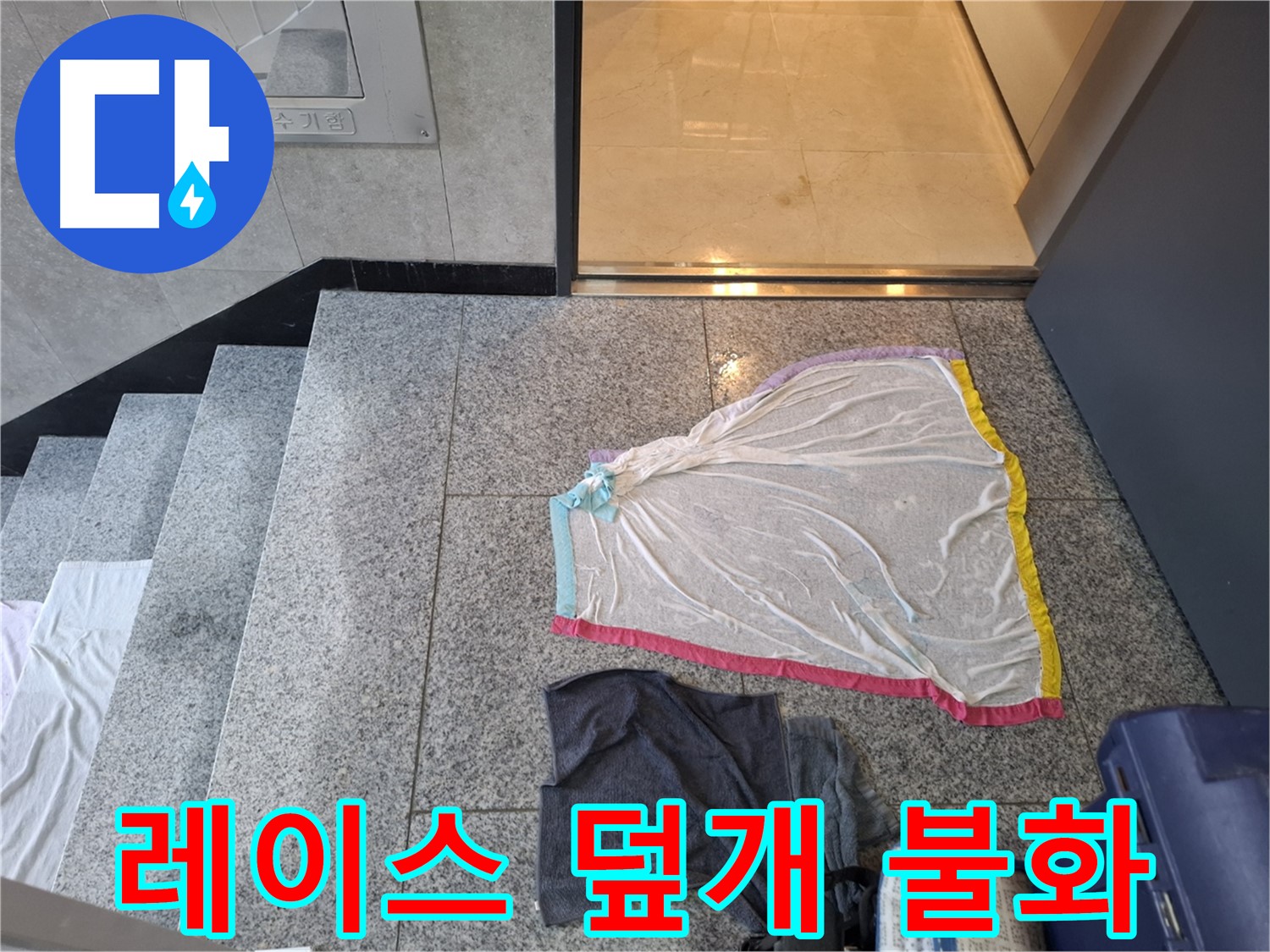 화려한 레이스 덮개와 검은 상의, 불화 시작 - 고양시