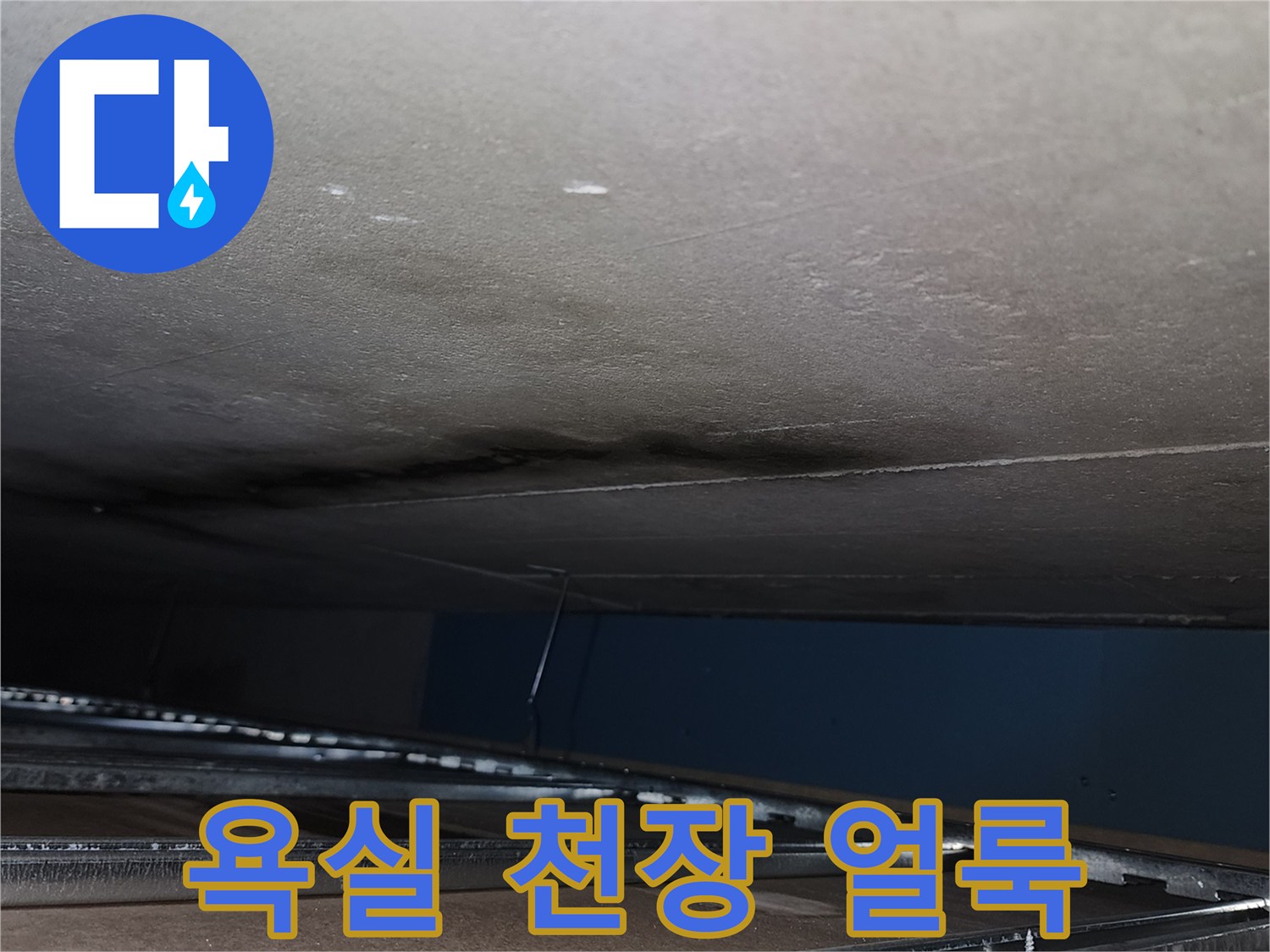양주시 옥정동 욕실 천장 벽면에 나타난 습기 흔적과 얼룩 상태입니다.