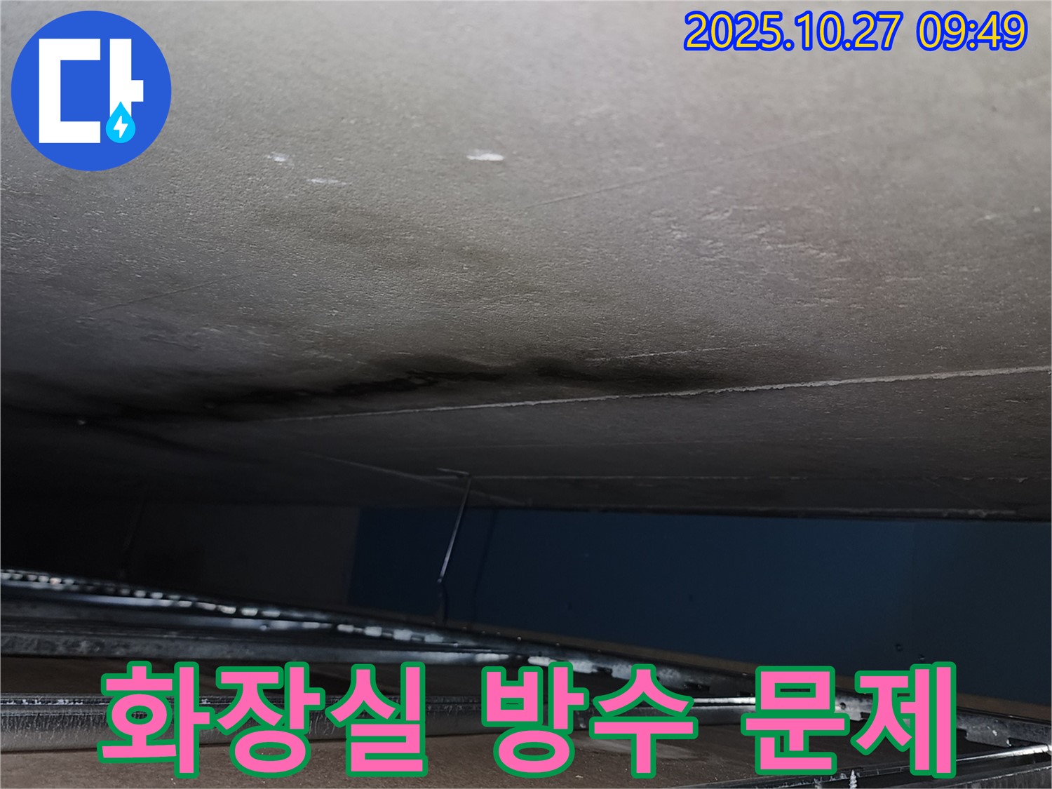 화장실 방수 문제 - 샤워 후 물 고임 현상 발생.