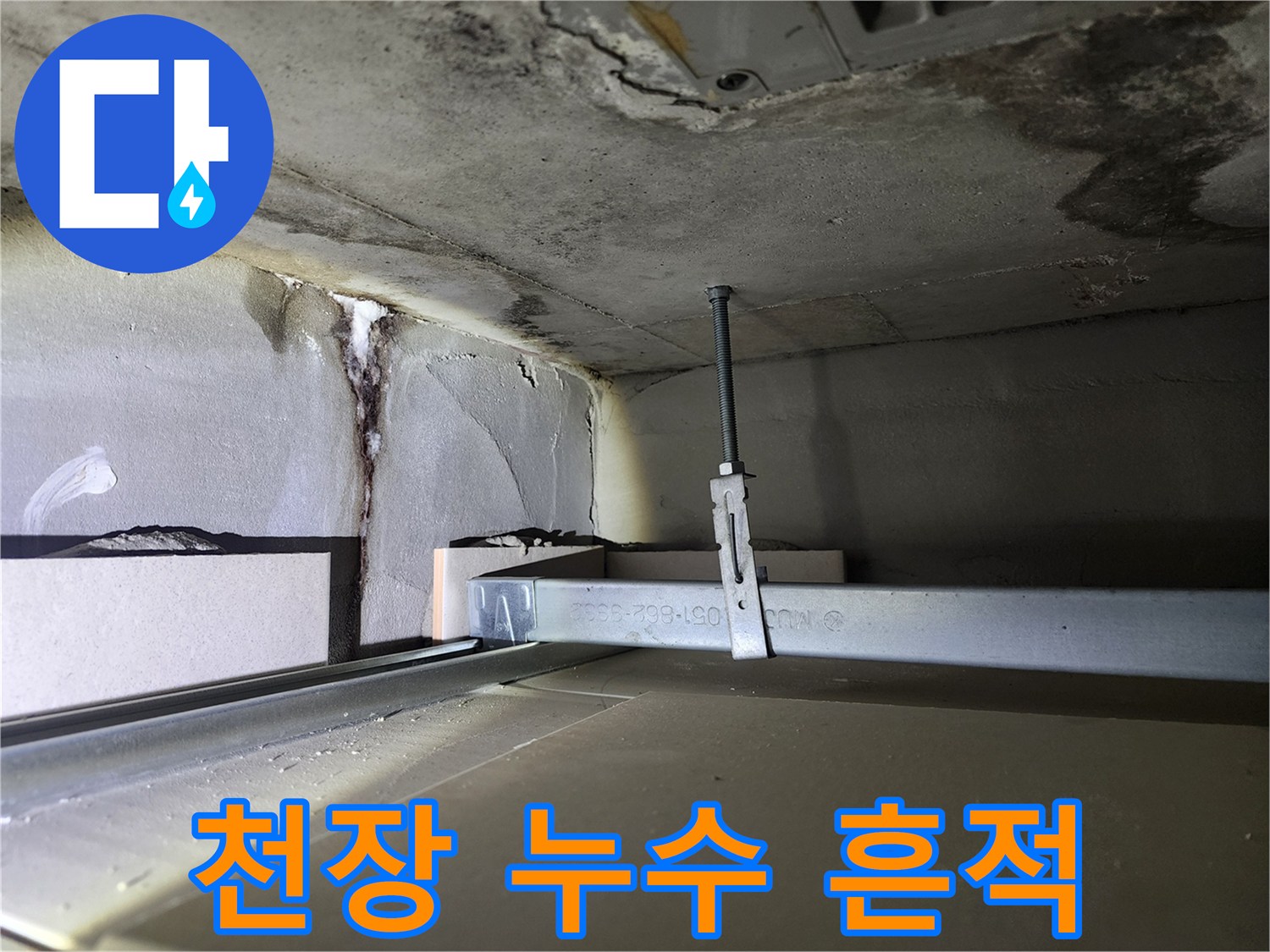 금호동 신금호파크자이 아파트 천장 누수 - 누수 흔적과 곰팡이 발생 초기 단계