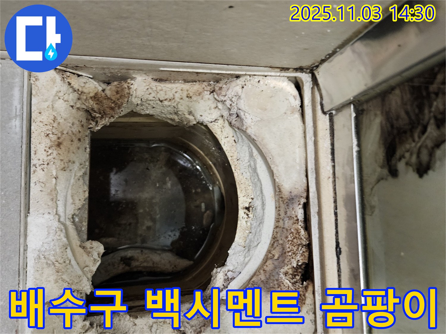 백시멘트 손실과 곰팡이가 심각한 욕실 배수구 주변 - 건강과 안전을 위해 빠른 해결이 필요합니다.