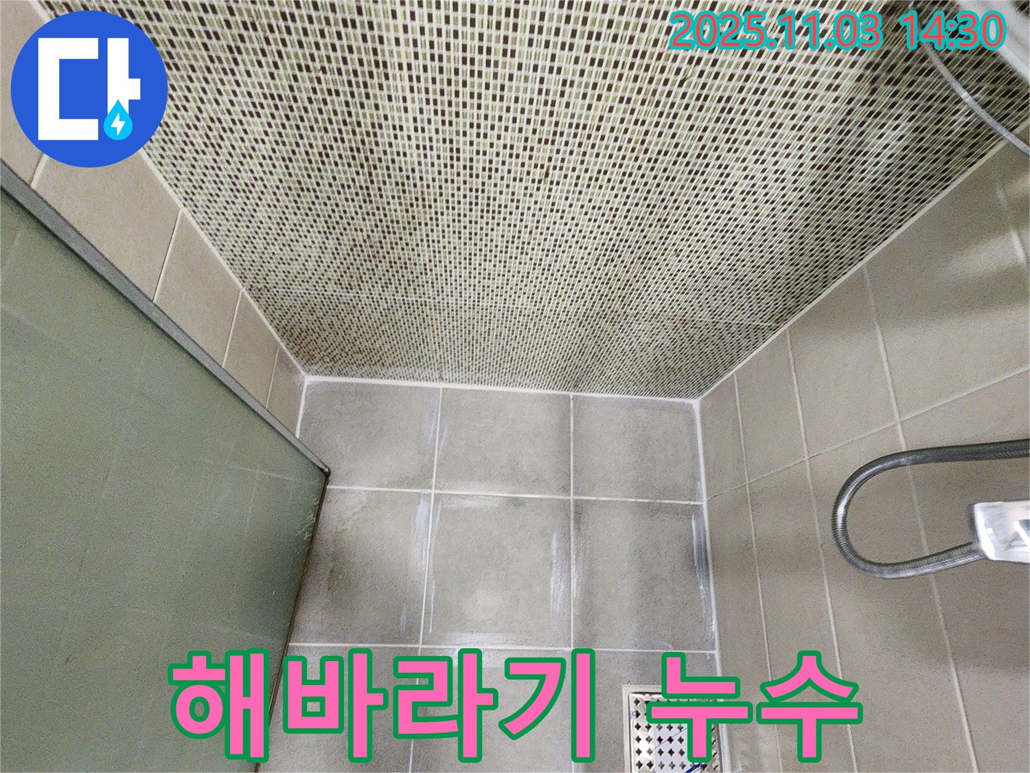 샤워기 해바라기 샤워기 연결 부위 누수 - 고무 오링 교체 & 꽉 조임으로 간단하게 해결!