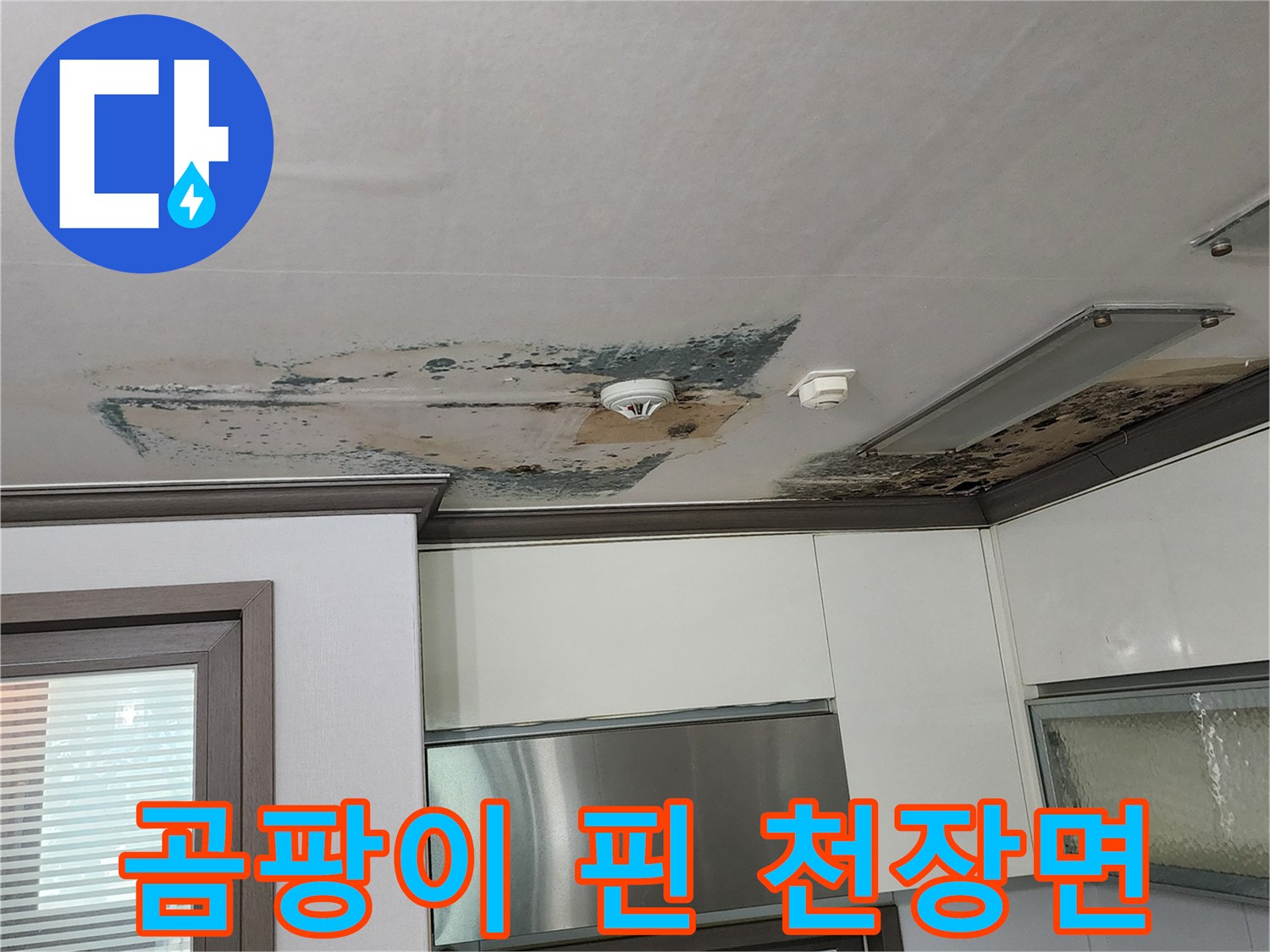 검은색 곰팡이가 퍼져 있는-주방 천장 벽지