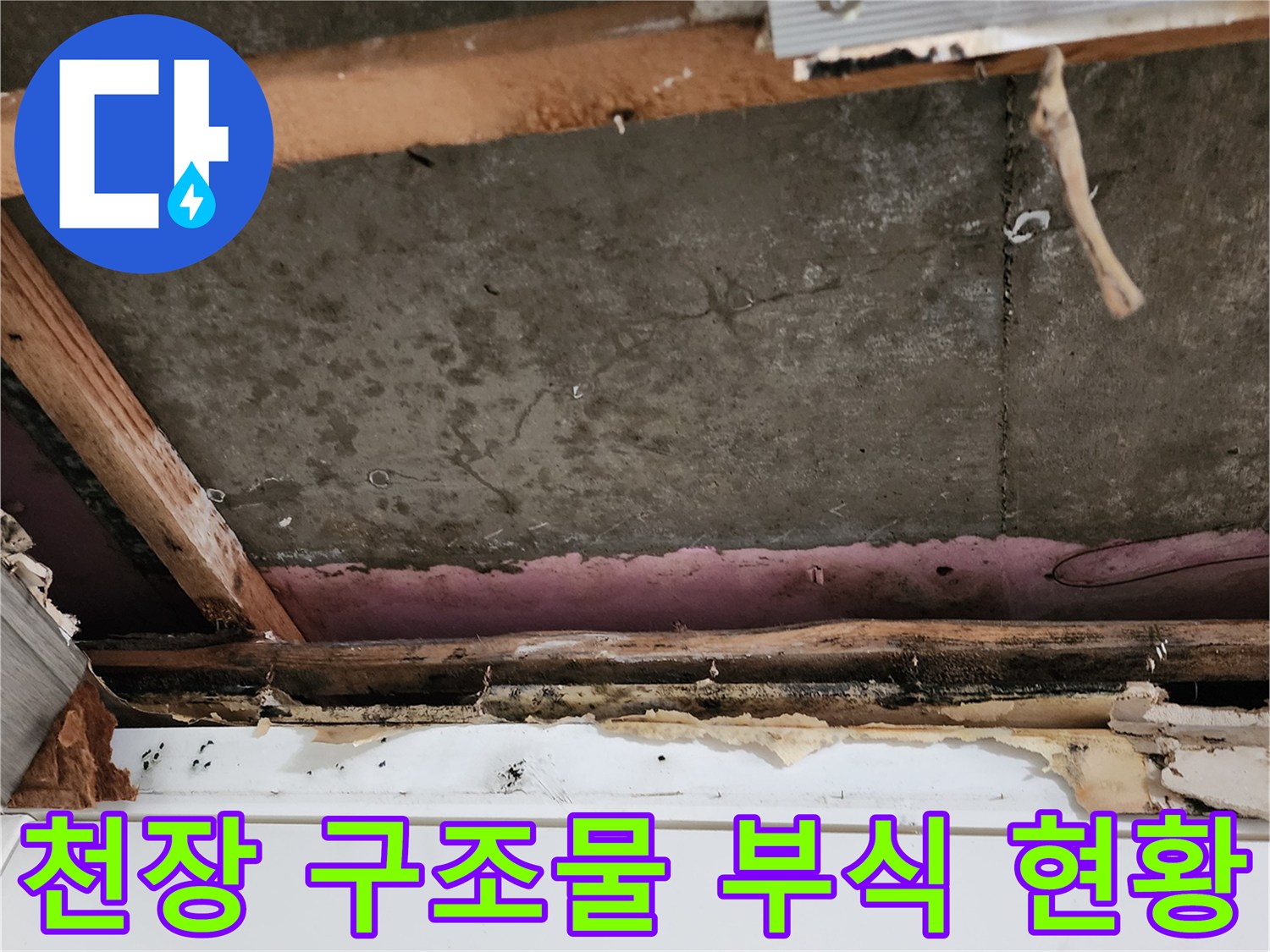습기로 인해-손상된-천장 내부 목재