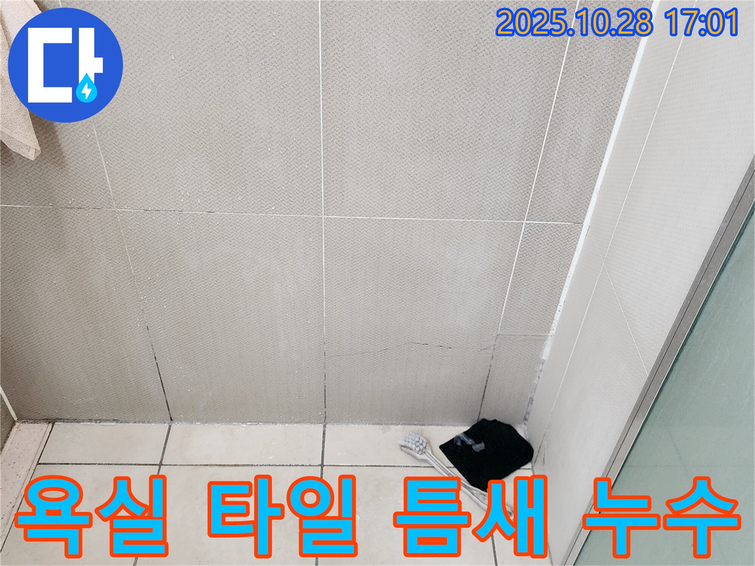 양주시 유양동 욕실 누수 현장 - 타일 틈새 백시멘트 손상으로 인한 누수 발생 지점 확인