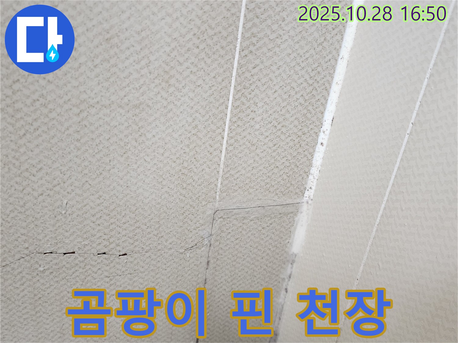 양주시 유양동 천장 - 곰팡이가 심하게 핀 천장 사진입니다 - 누수가 확실합니다.