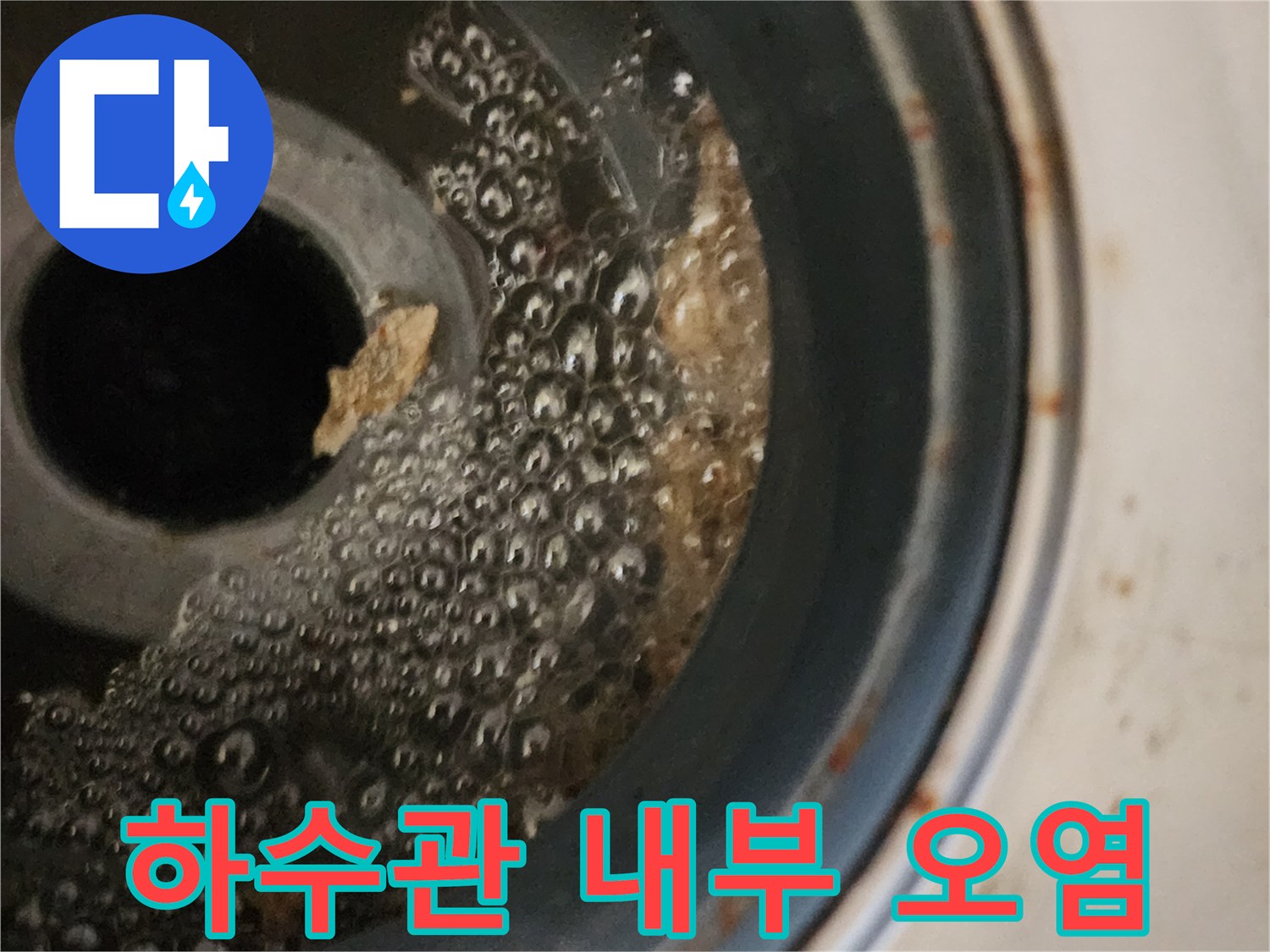 배수관-입구-주변의-부유물과-고인-물의-상태