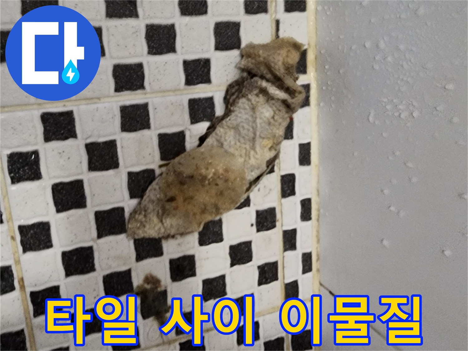 체크무늬 타일 틈새에 끼어 있는 오염된 슬러지 사진