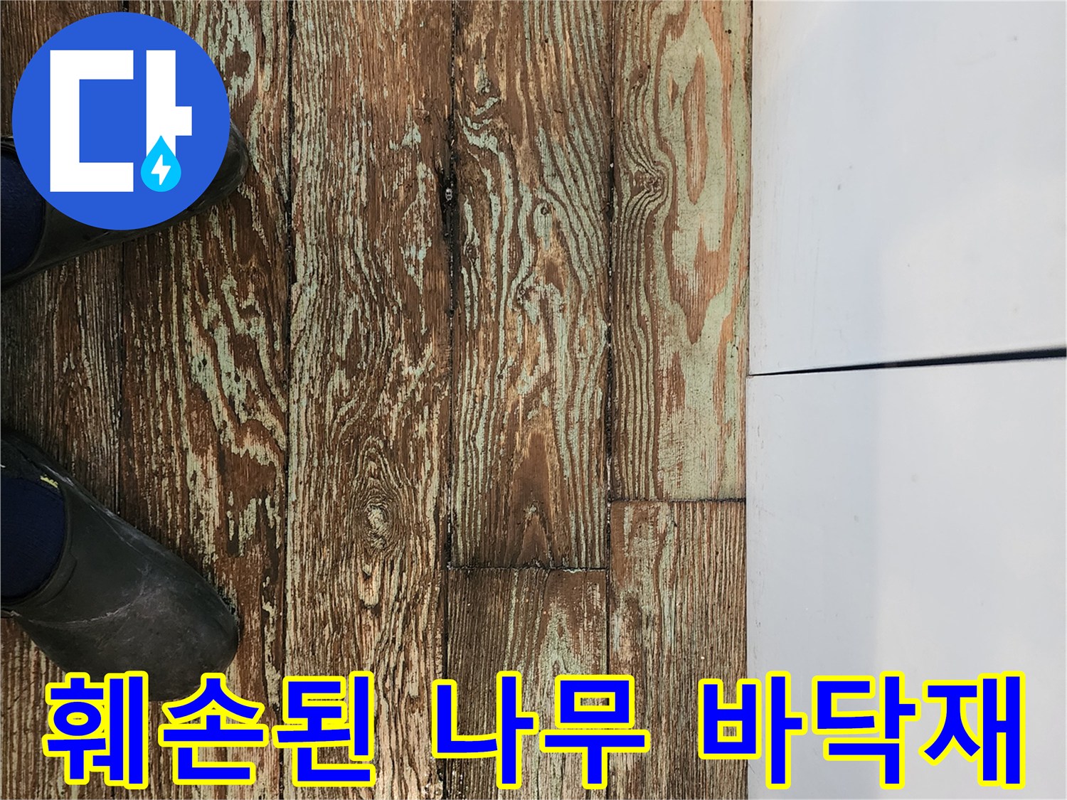 물샘 증상으로 인해 썩어가는 주방 싱크대 앞 마루