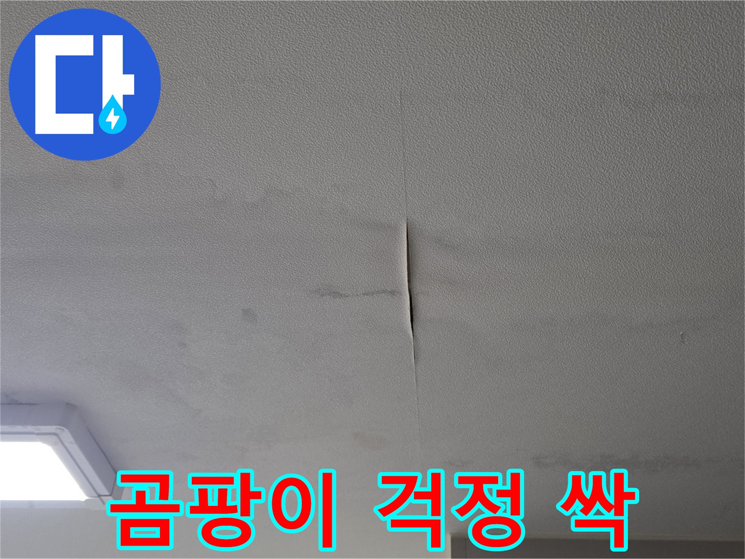 누수 해결 후 곰팡이 걱정 없는 쾌적한 생활