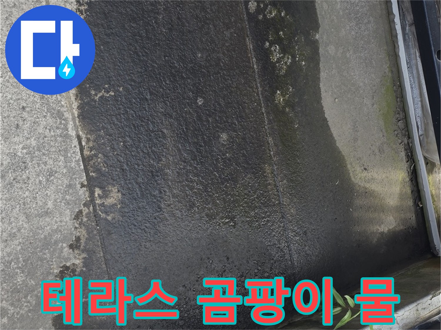 테라스 곰팡이와 물 - 누수 가능성을 의심하고 꼼꼼히 점검하세요!